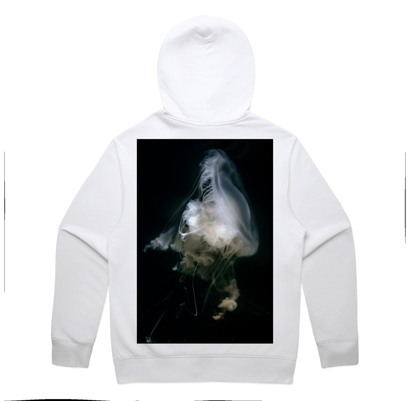 WhiteJellyfish.png