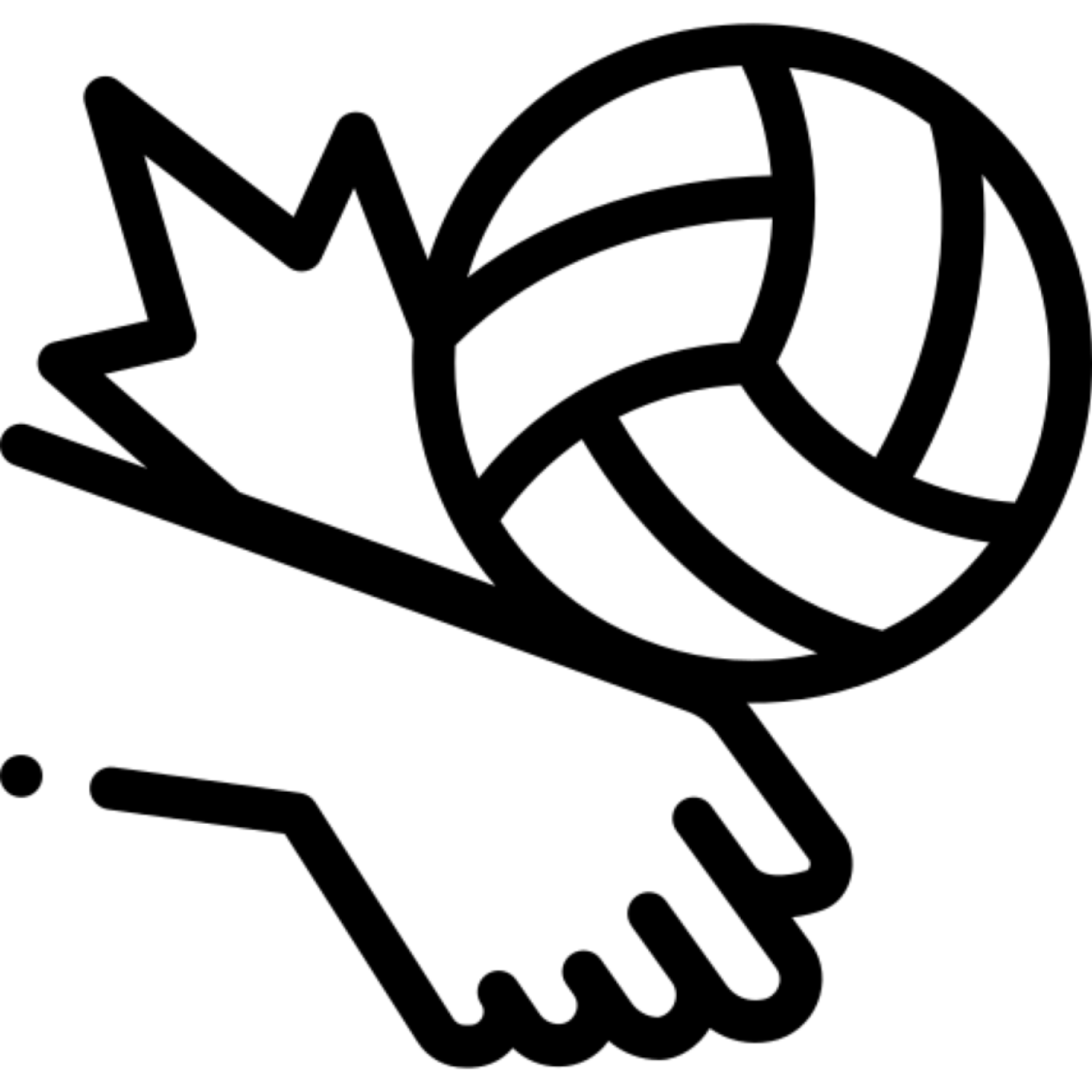 American Volleyball Academy