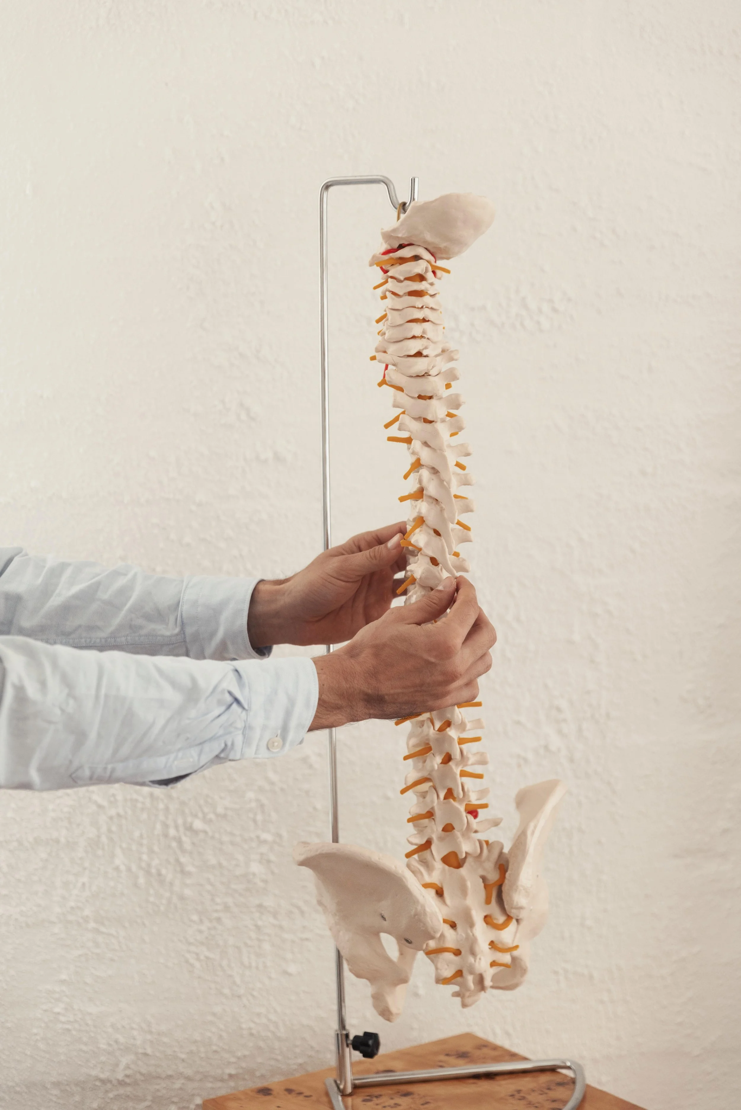 Waking Up With Lower Back Pain? Common Causes and What You Can Do
