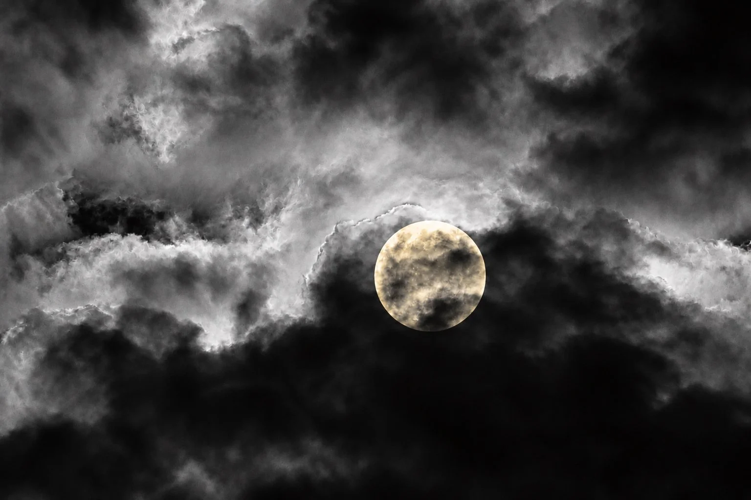 Champagne moon