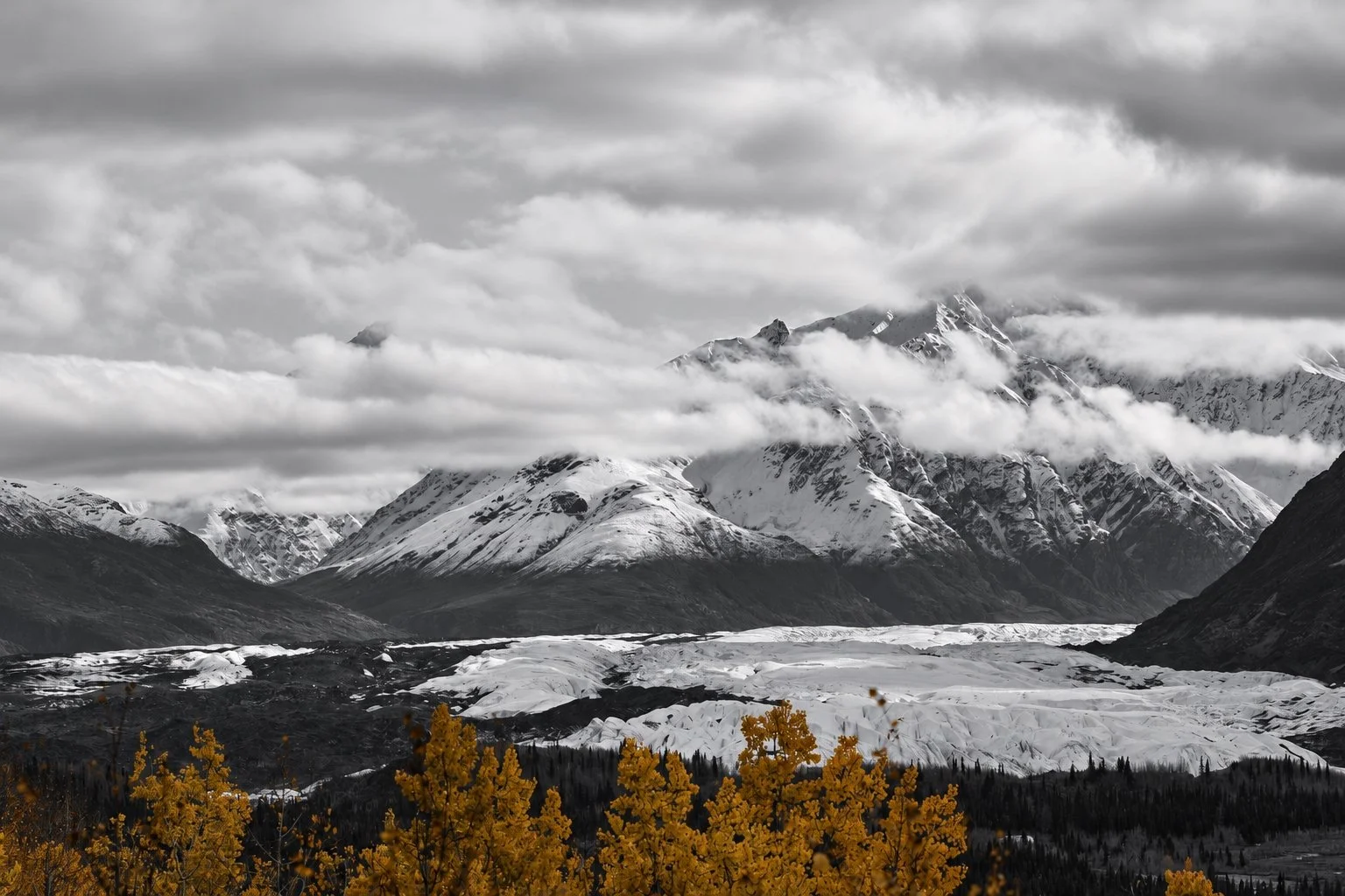 Where Gold Meets Grey