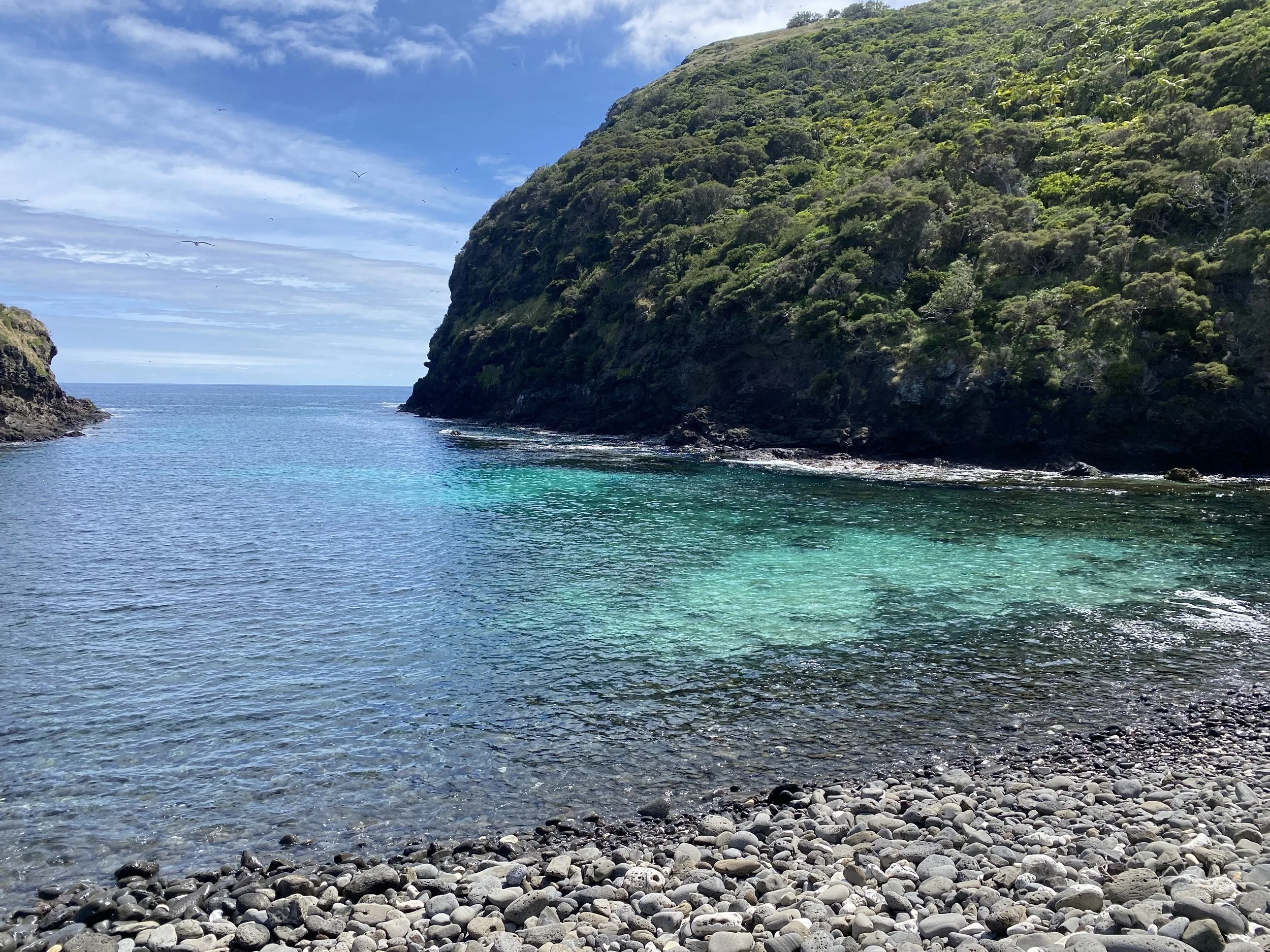 IMG_0648.jpeg