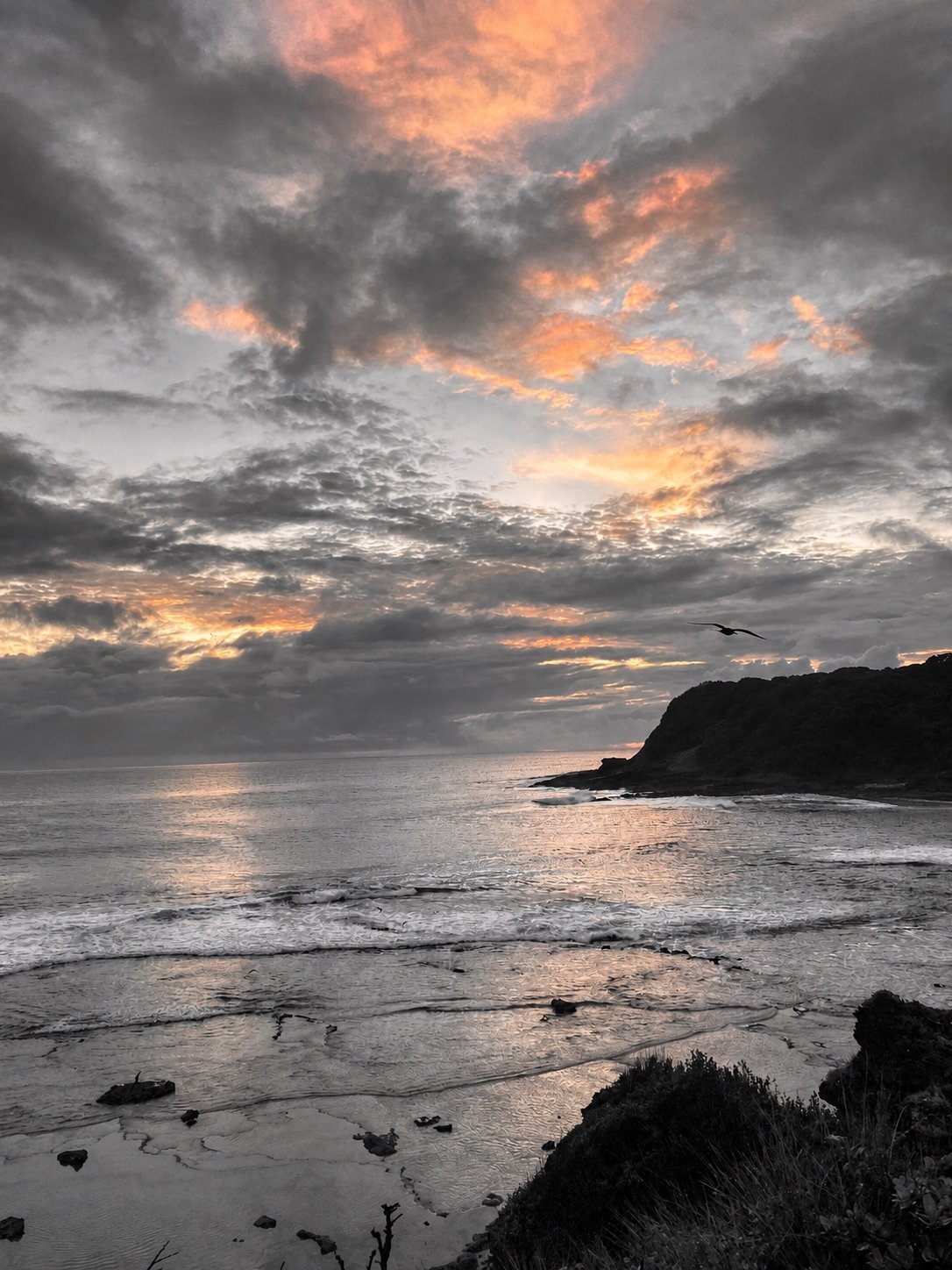 Peach Sky over Coast