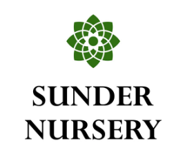 Logo of Sunder Nursery with a green floral design and the text 'Sunder Nursery' beneath it.