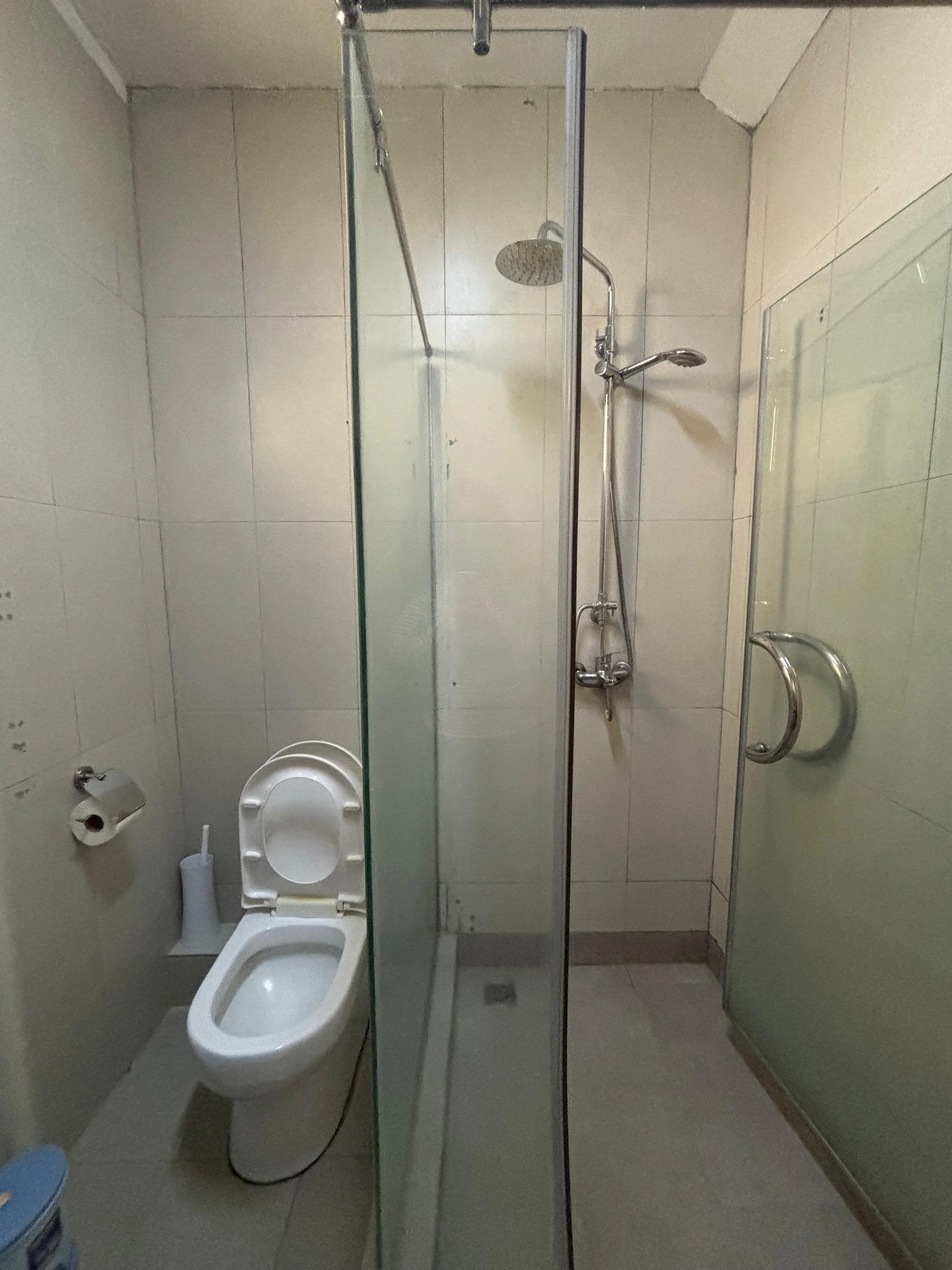 A small bathroom with a toilet, toilet brush, and toilet paper roll. There is a glass partition with a showerhead and a handheld shower wand inside the shower area.