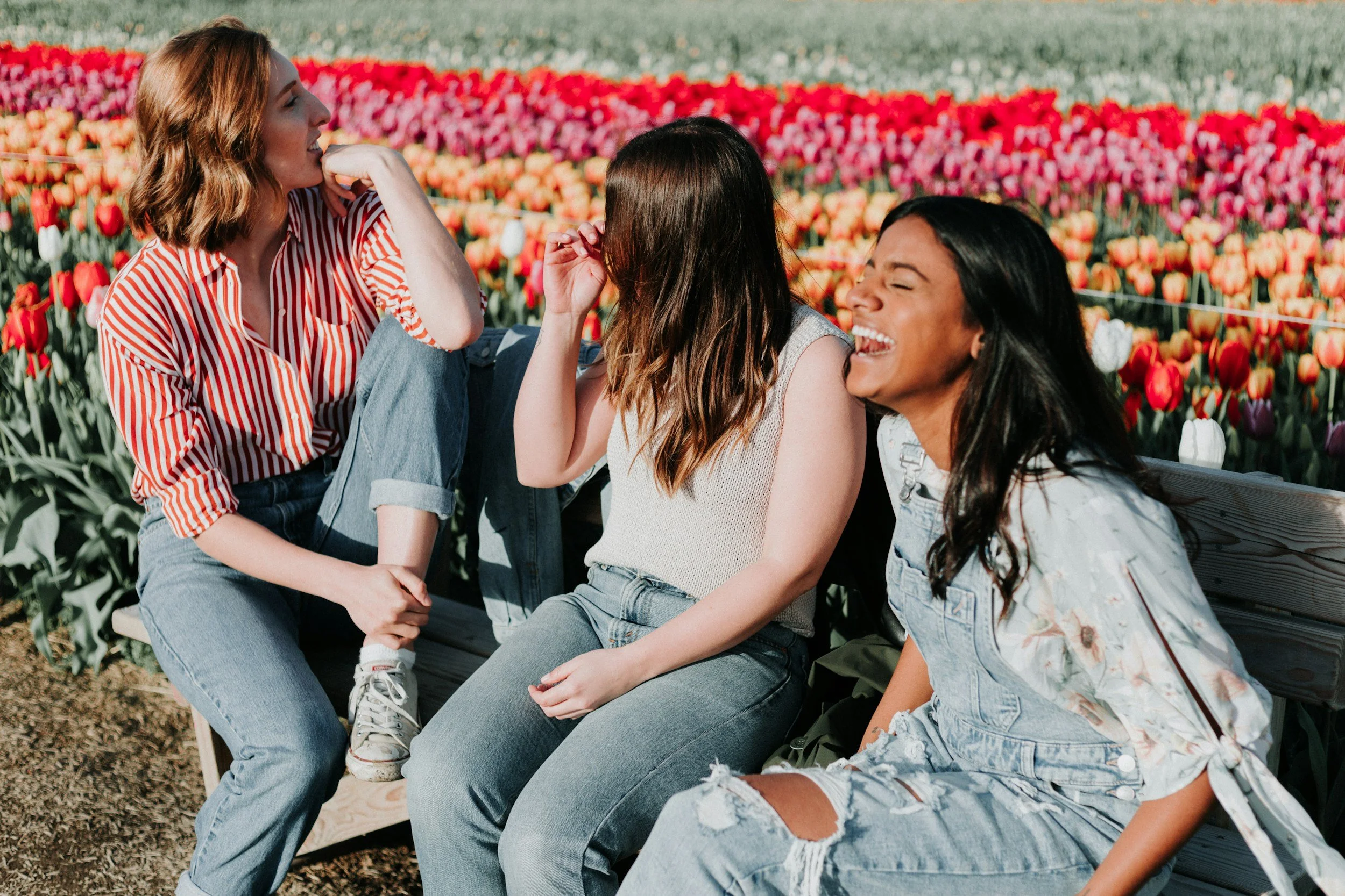 Three women sitting on a wooden bench in a tulip field, smiling and laughing together on a sunny day.