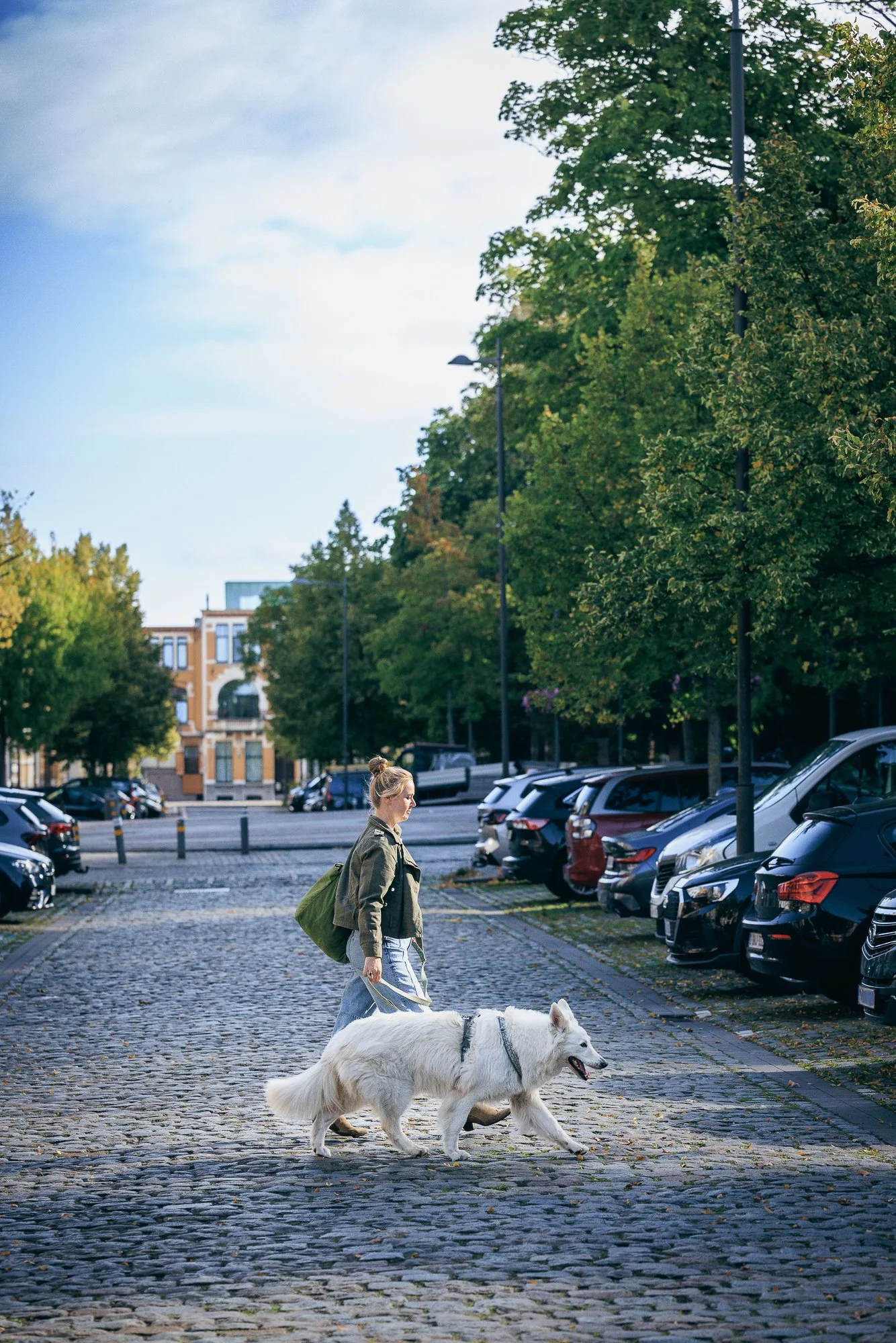 Een vrouw wandelt met haar grote witte hond op een stenen oprit, omgeven door geparkeerde auto's en groene bomen, onder een deels bewolkte blauwe lucht.
