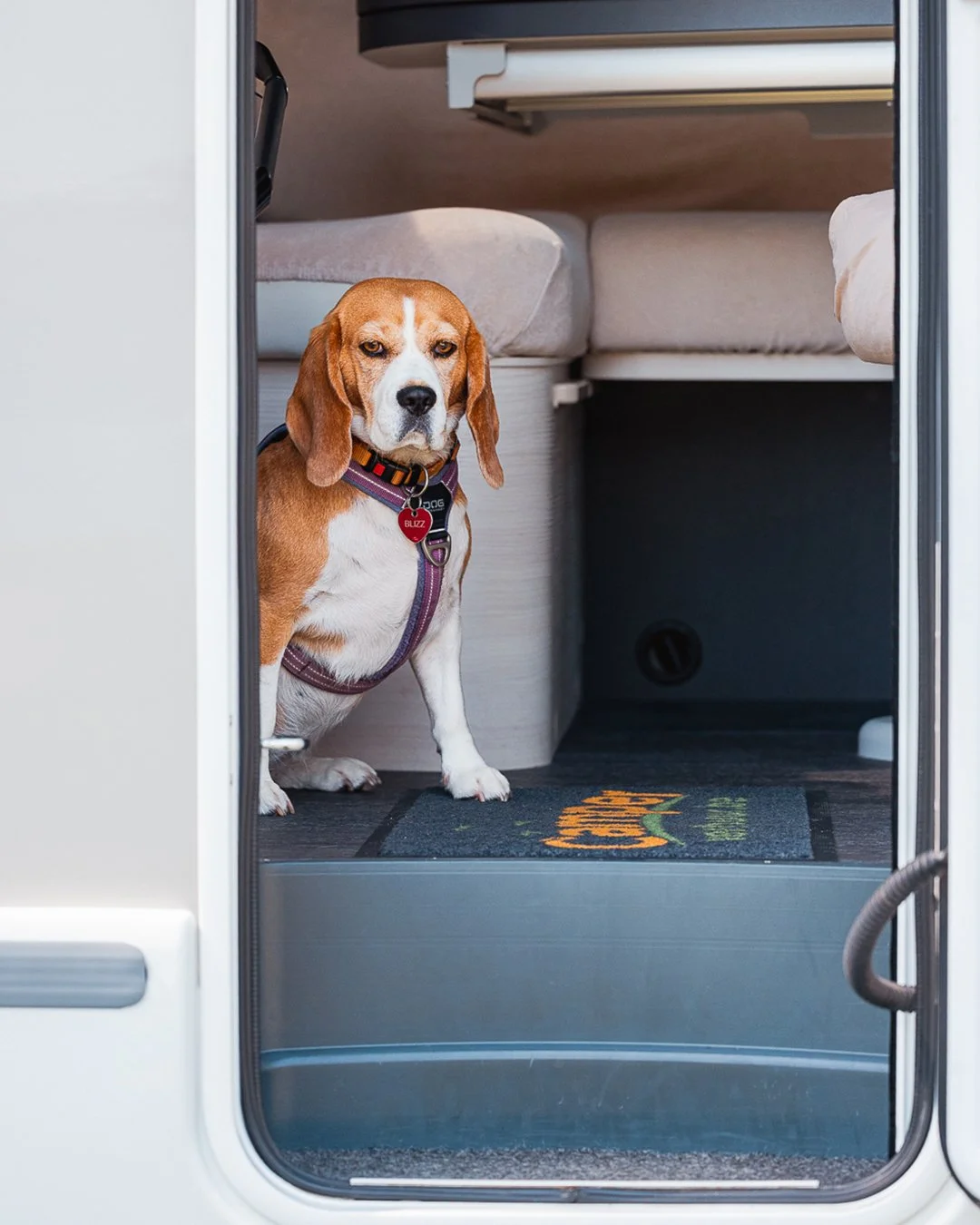 Camper Verhuur 