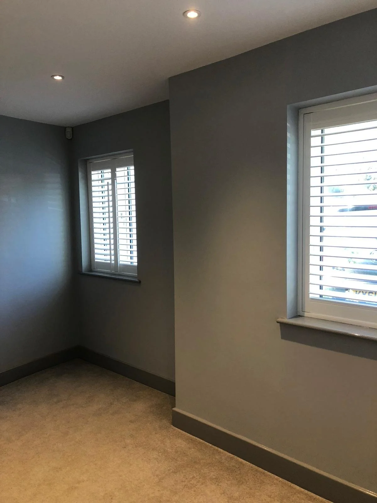 Empty room with gray walls, beige carpet, and two windows with white shutters.
