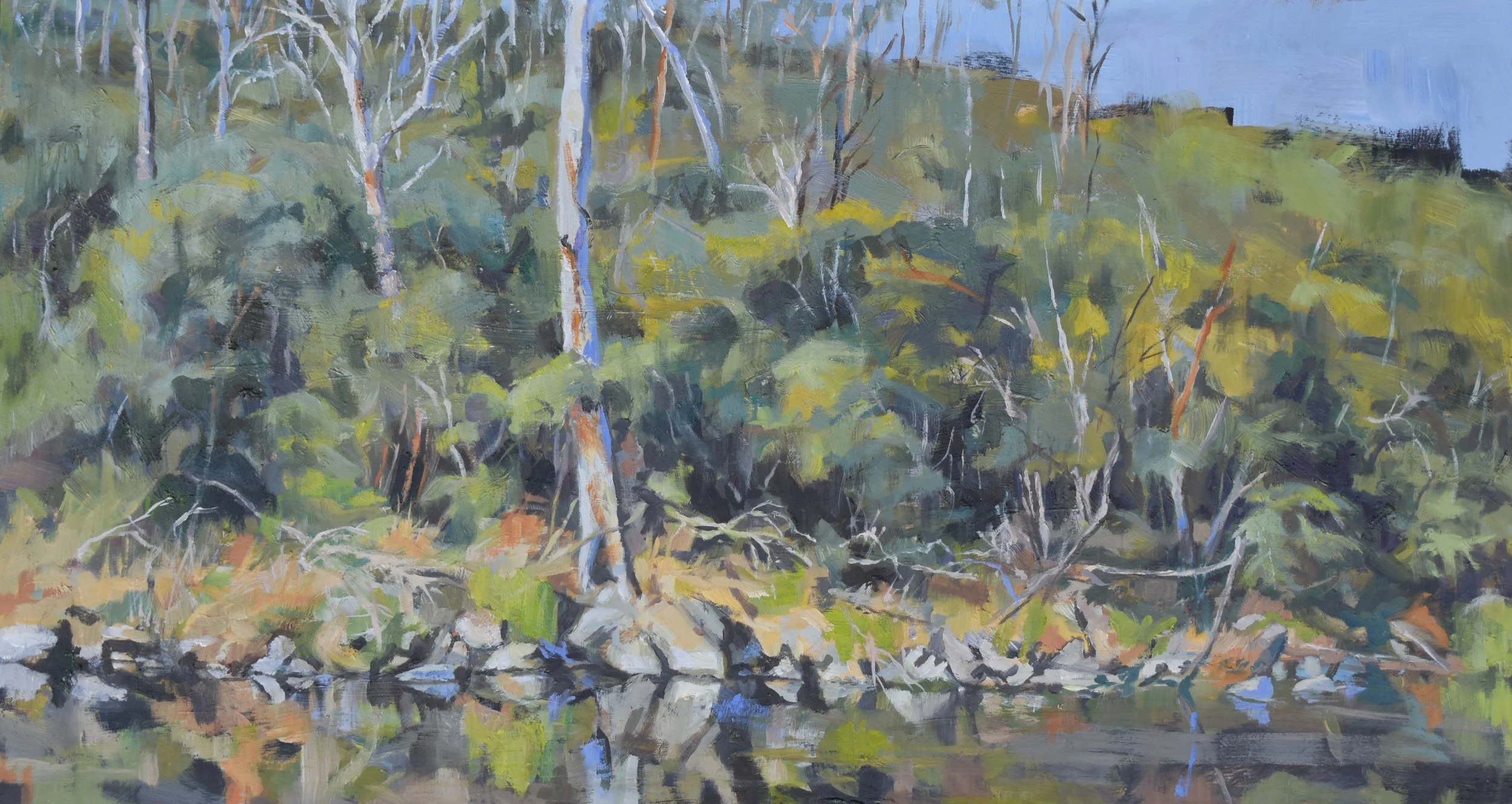 The White Tree stands watch.jpg