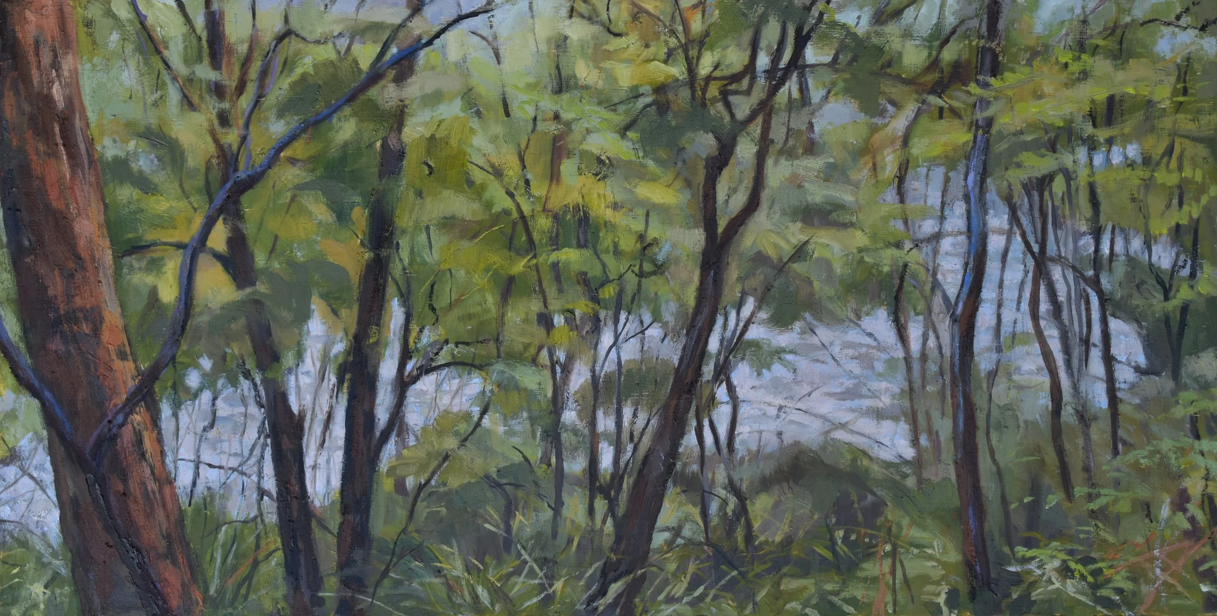 View of Yarra through the Ti-tree.jpg