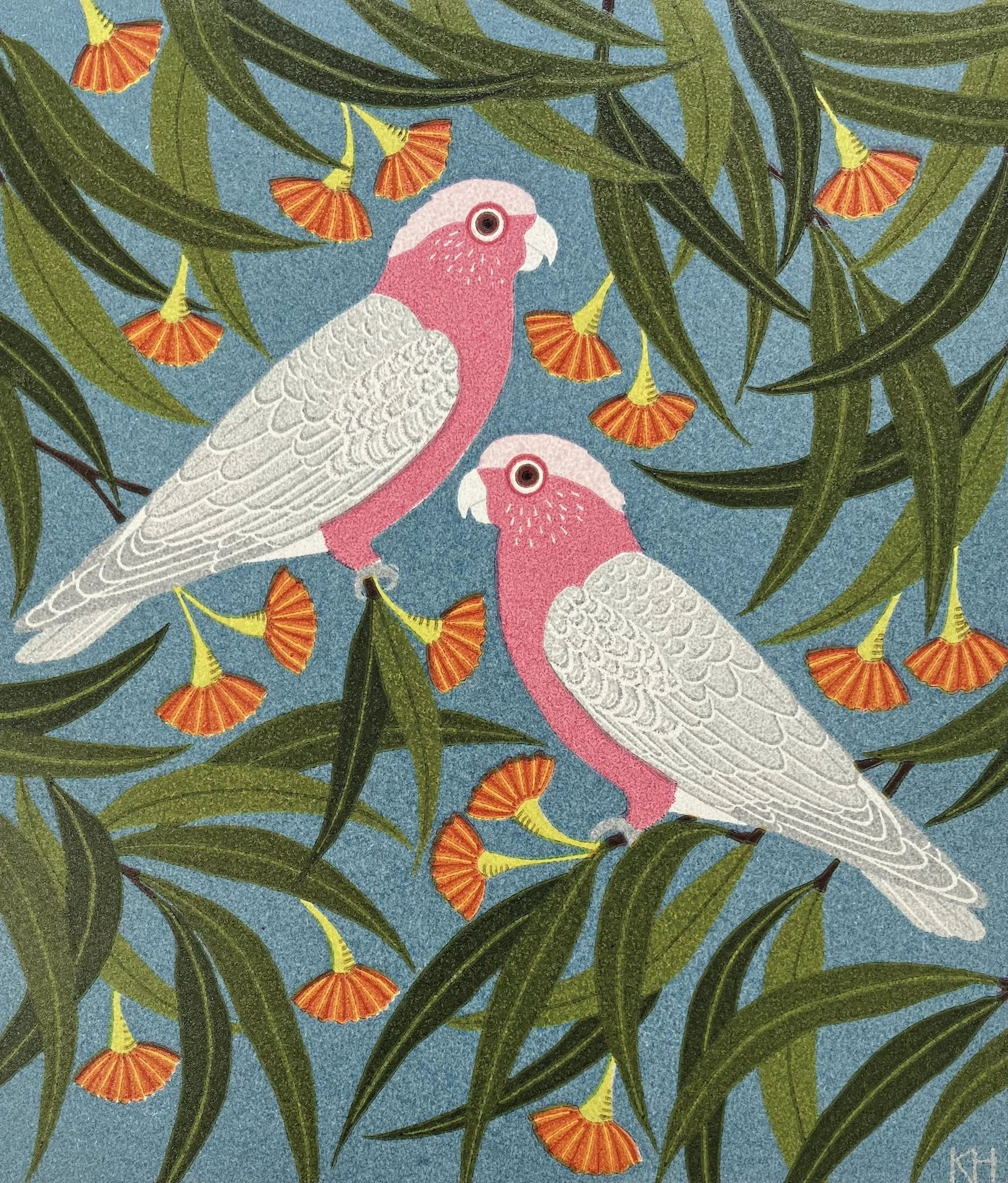 Galahs & Eucalyptus.jpg