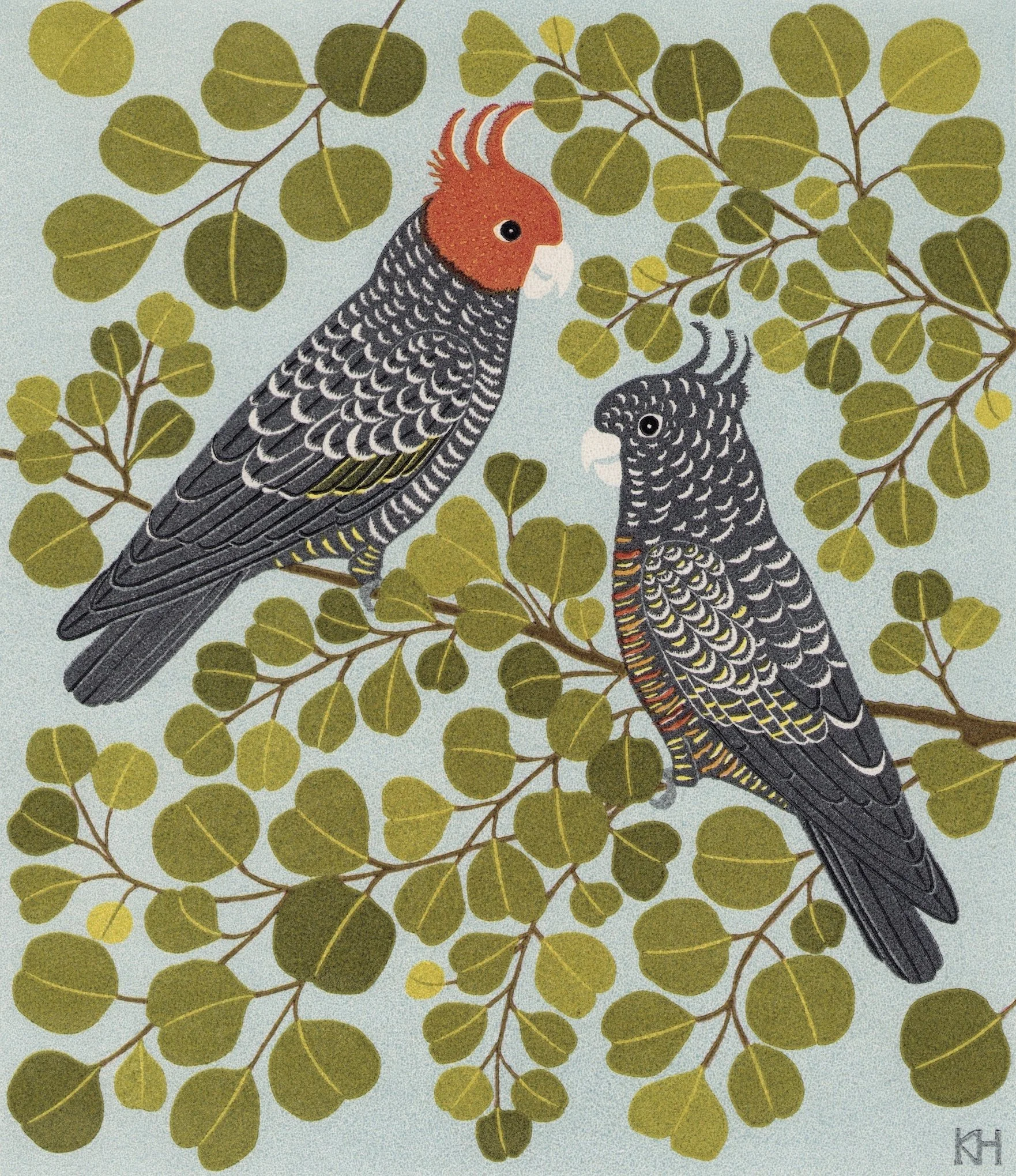 Gang-gangs and Redbox.jpeg