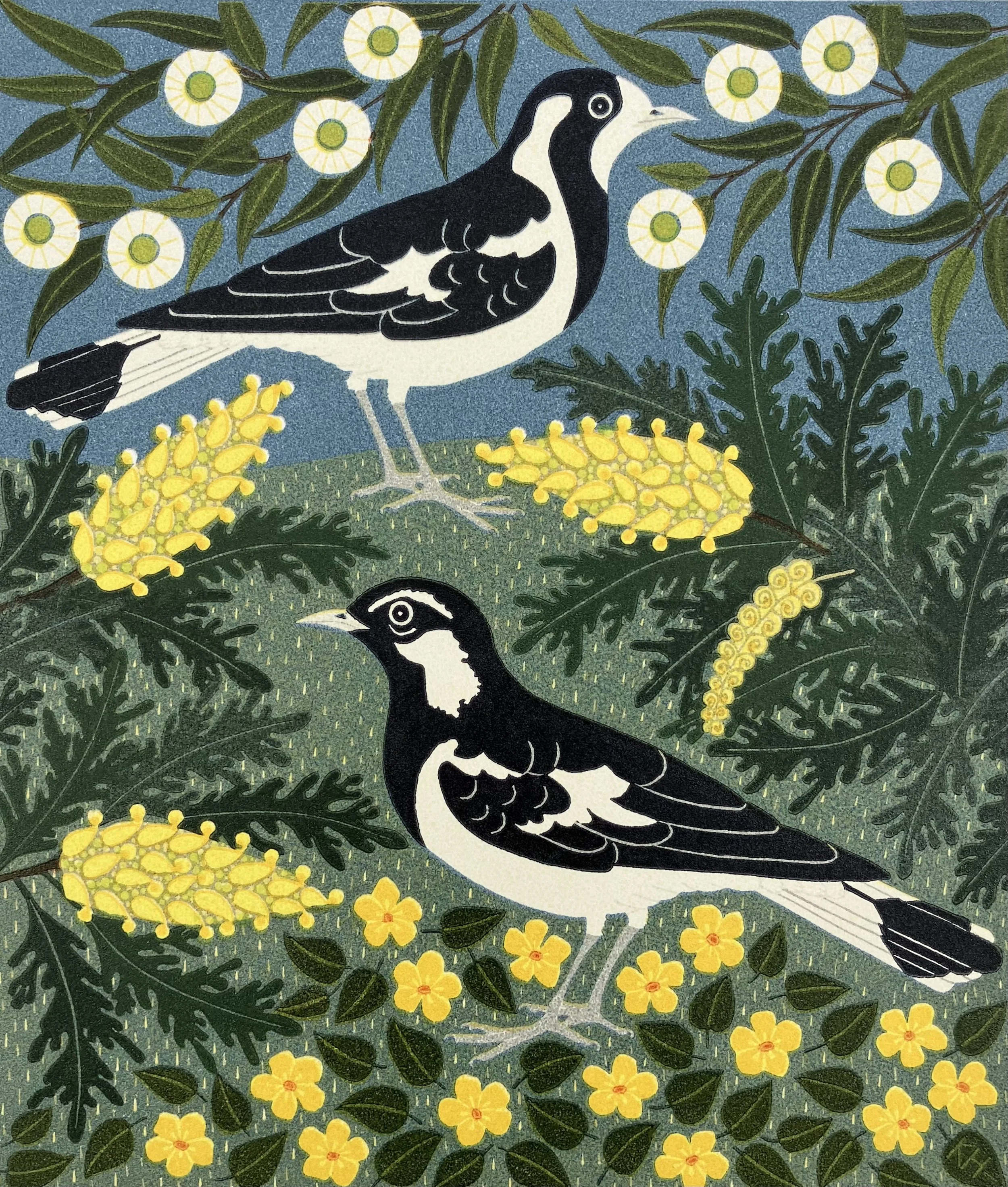 Magpie Larks in the garden.jpeg