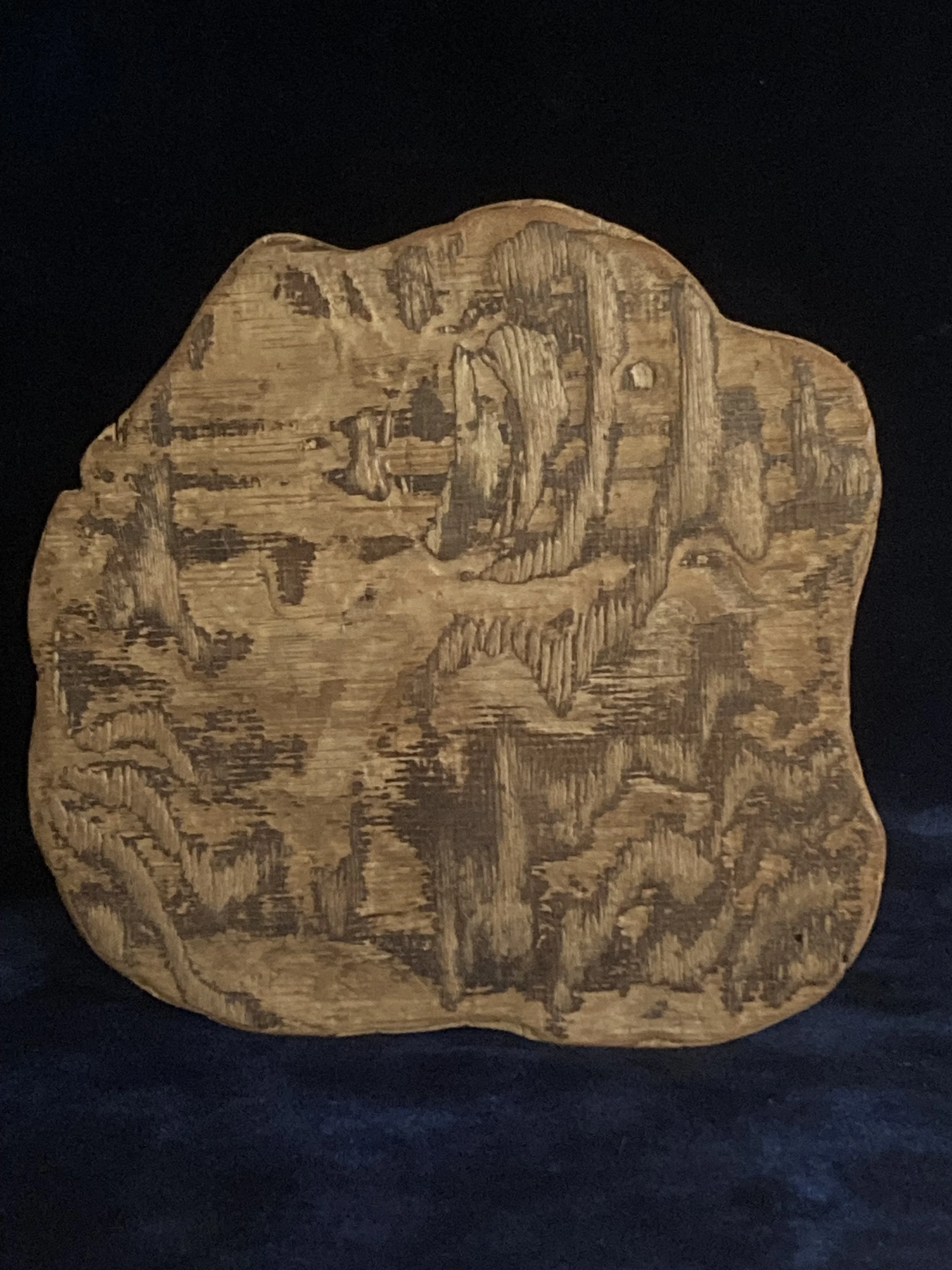 Inside the Forest.jpg