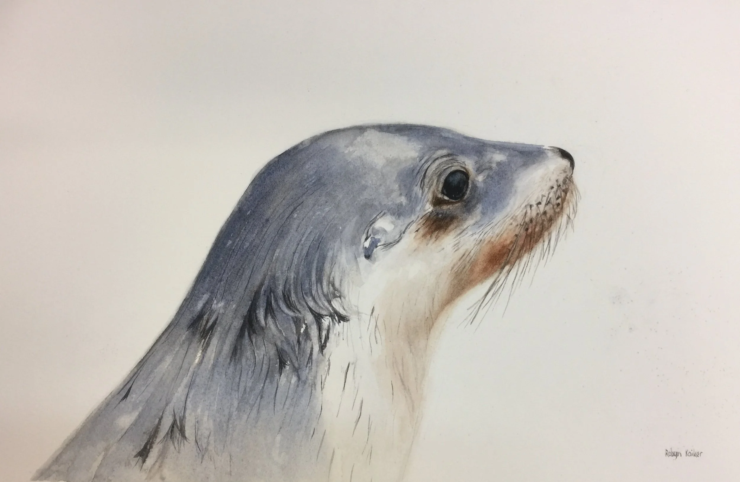 Photo 1-12-17, 1 36 57 pm.jpg