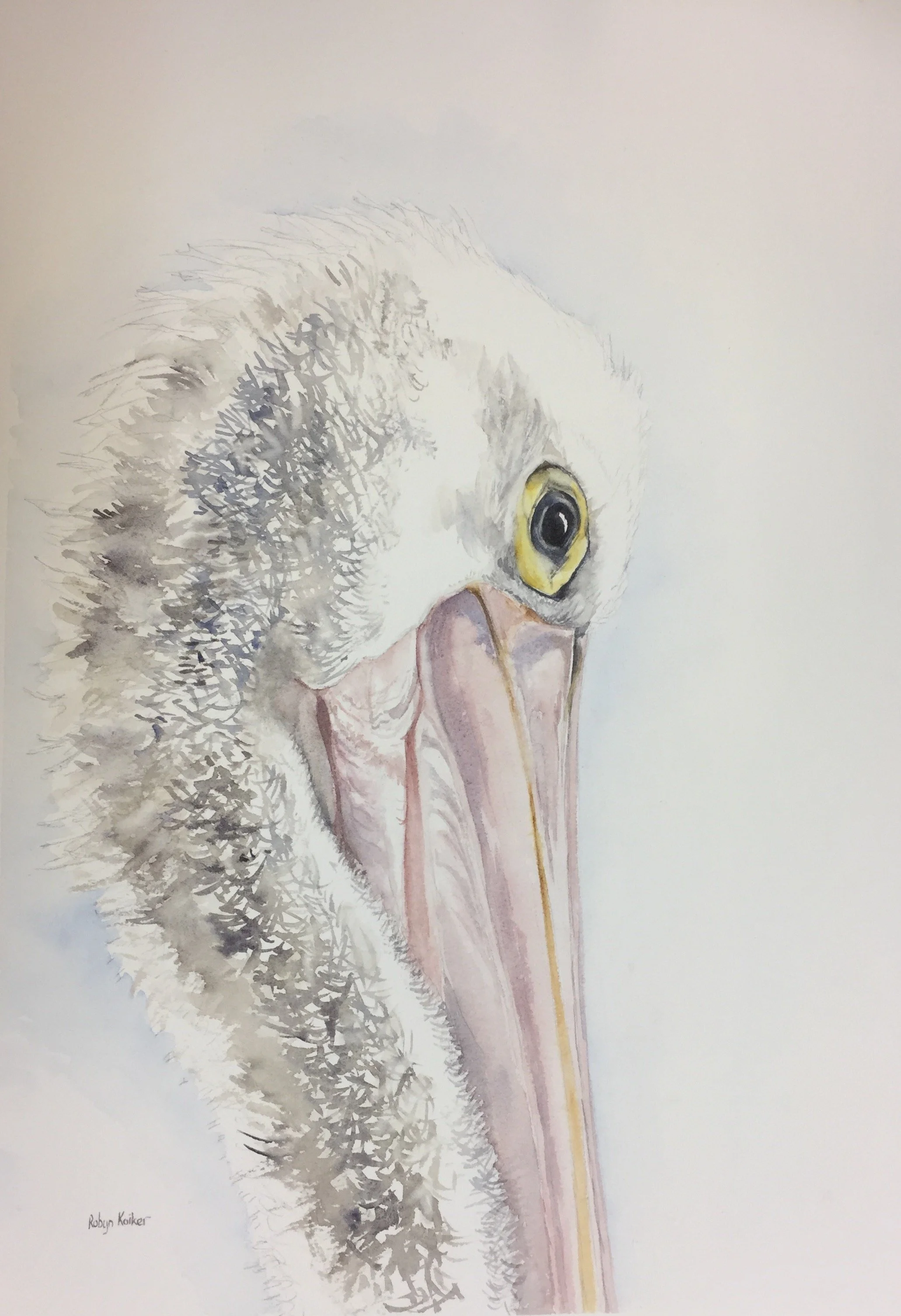 Photo 1-12-17, 1 37 36 pm.jpg