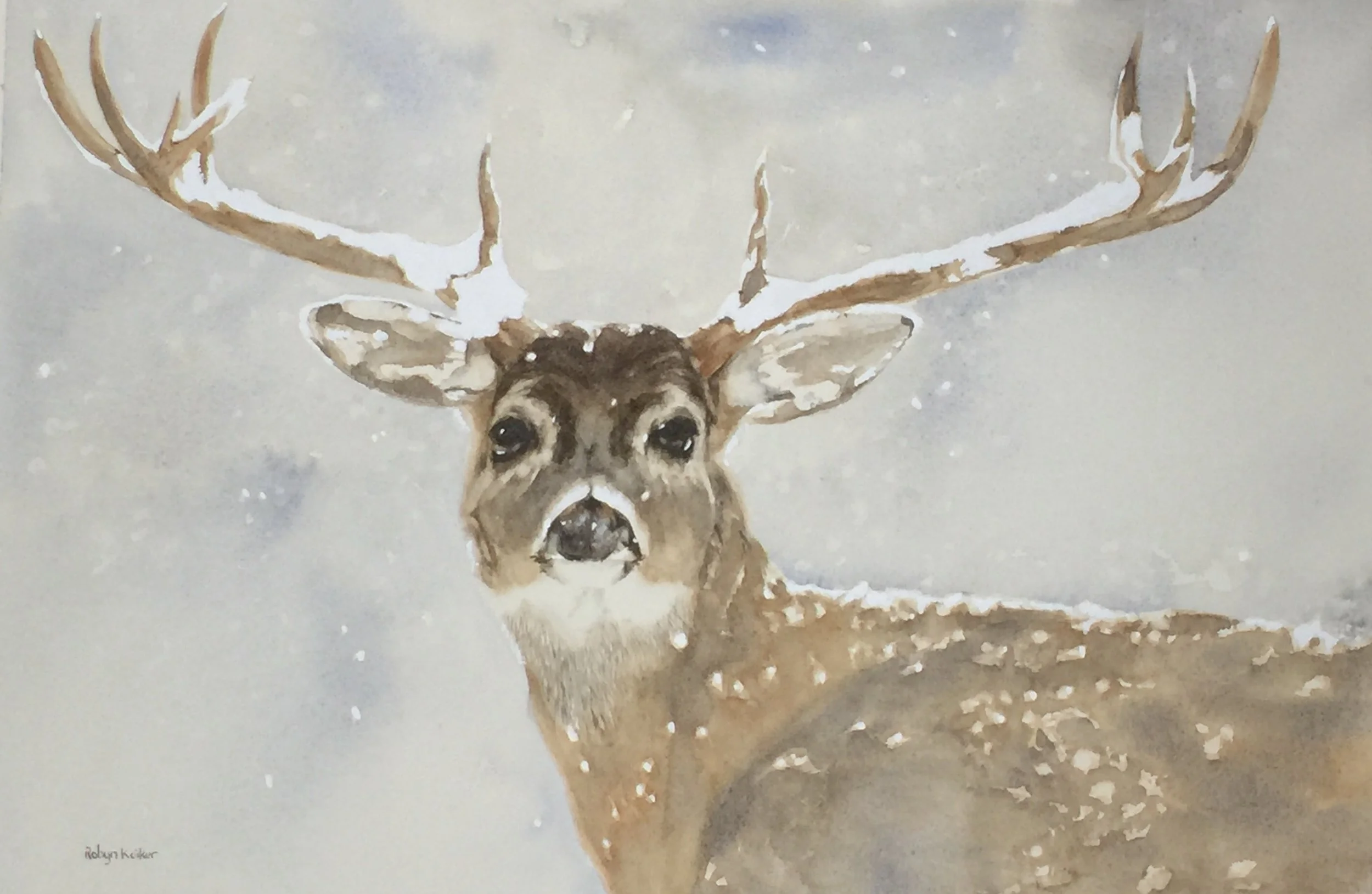 Photo 9-10-16, 9 02 29 pm.jpg