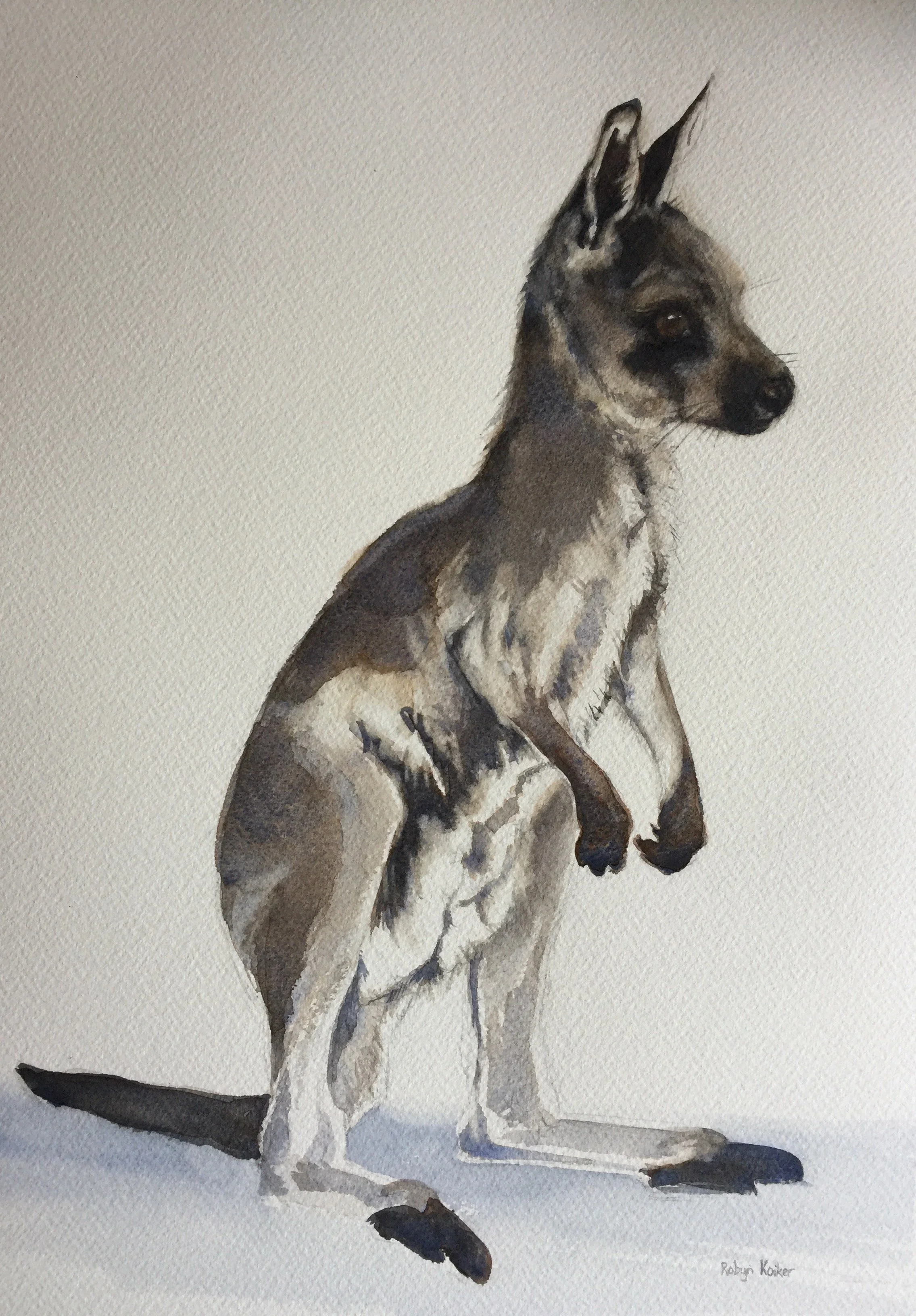 Photo 25-2-17, 1 00 27 pm.jpg