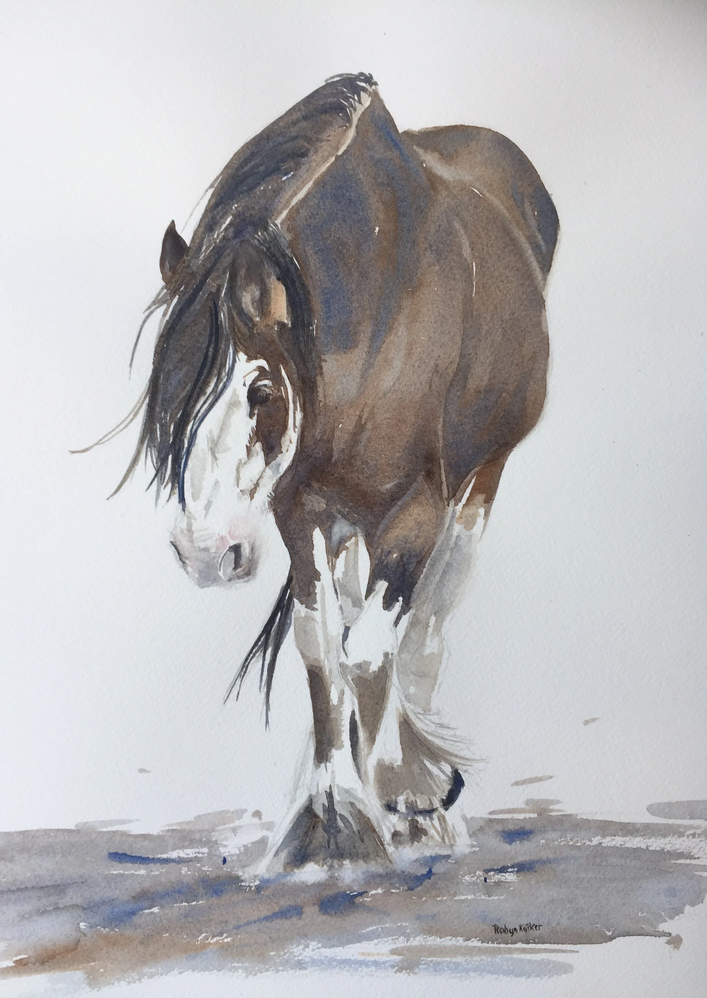 Photo 26-8-19, 3 13 26 pm.jpg