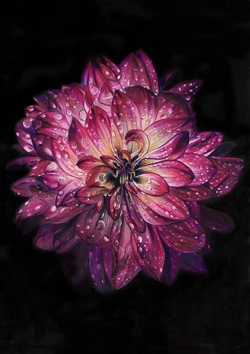 From the shadows she blooms - web file.jpg