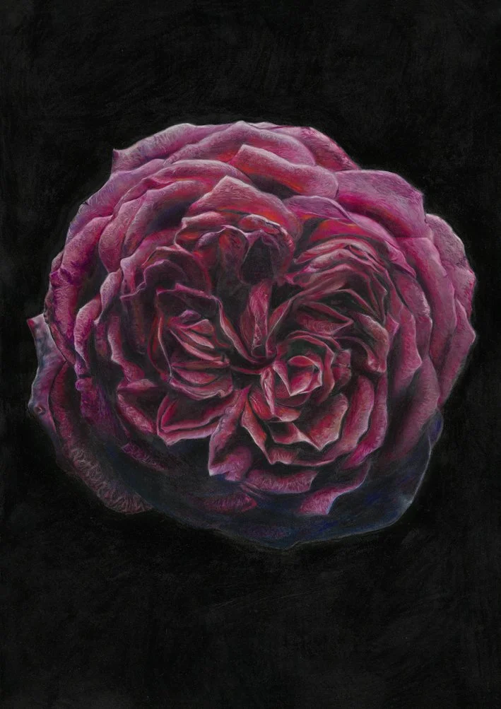 Eclipse in Bloom_WebFile.jpg