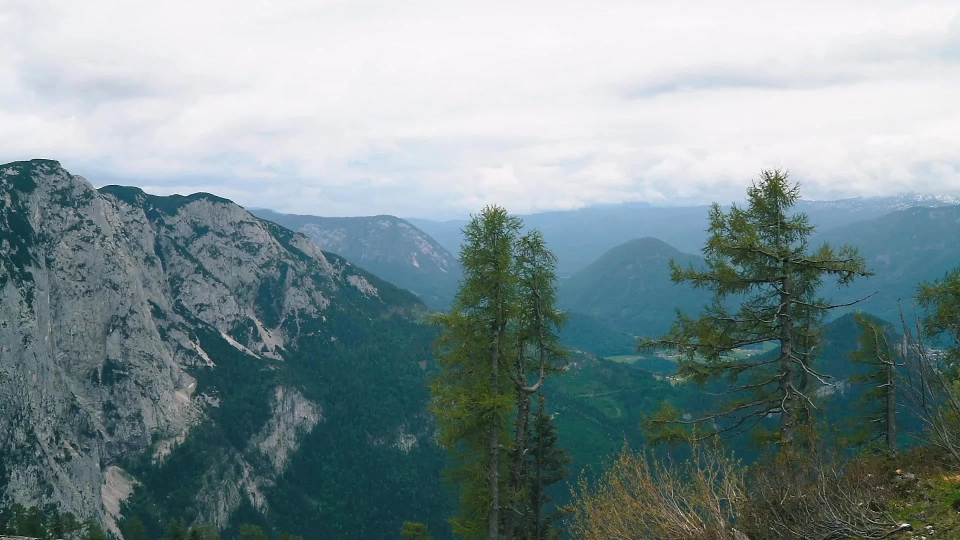 Ces derni&egrave;res ann&eacute;es, j&rsquo;ai travaill&eacute; sur diff&eacute;rents projets :

&ndash; photographie et vid&eacute;o
&ndash; projets culturels
&ndash; mus&eacute;es
&ndash; conf&eacute;rences
&ndash; portraits
&ndash; accompagnement 