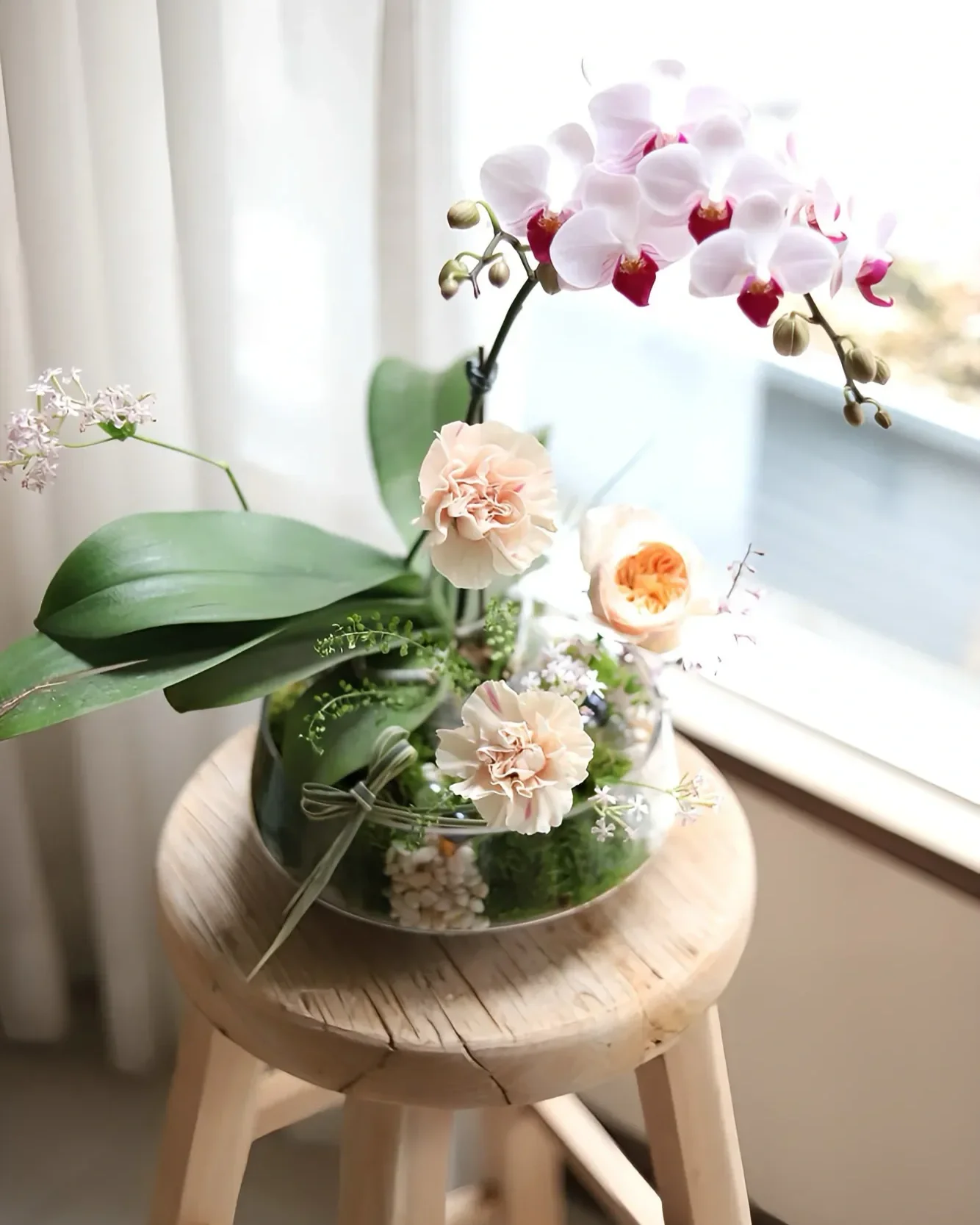 島蘭之境單品課