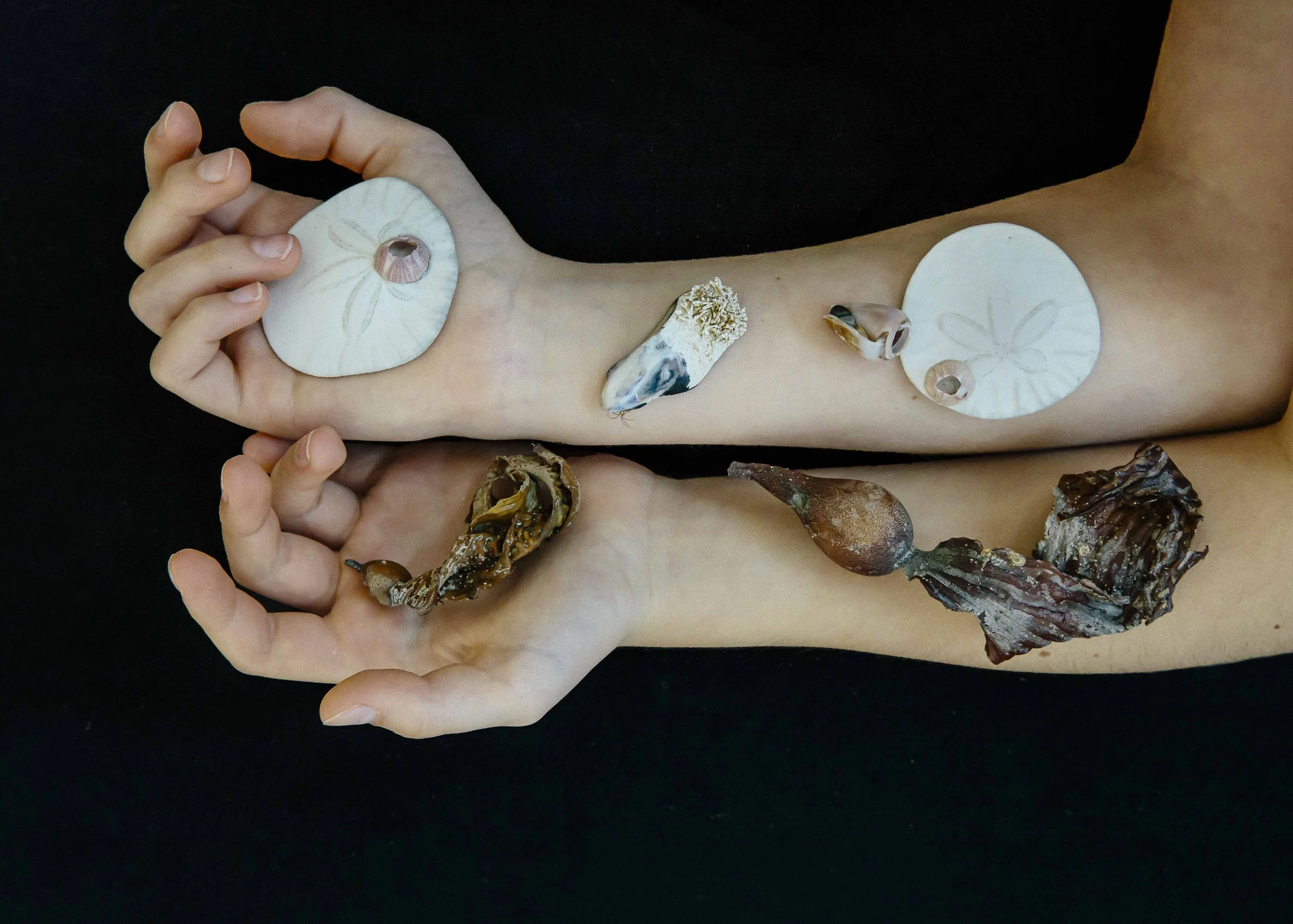 A person with arms extended, displaying shells, seaweed, and coral on black background.