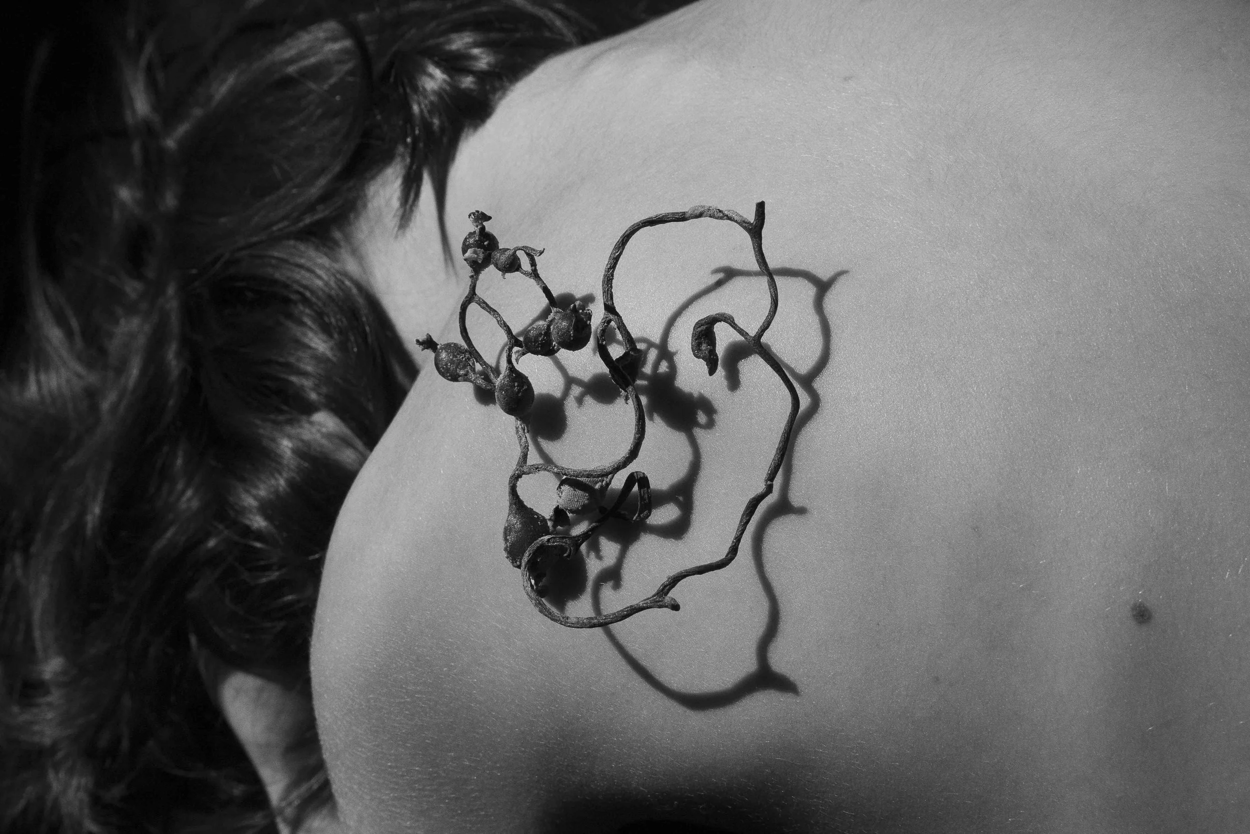 A person with dark, curly hair is lying on their side, showing their back and with a dried piece of seaweed placed on the shoulder.