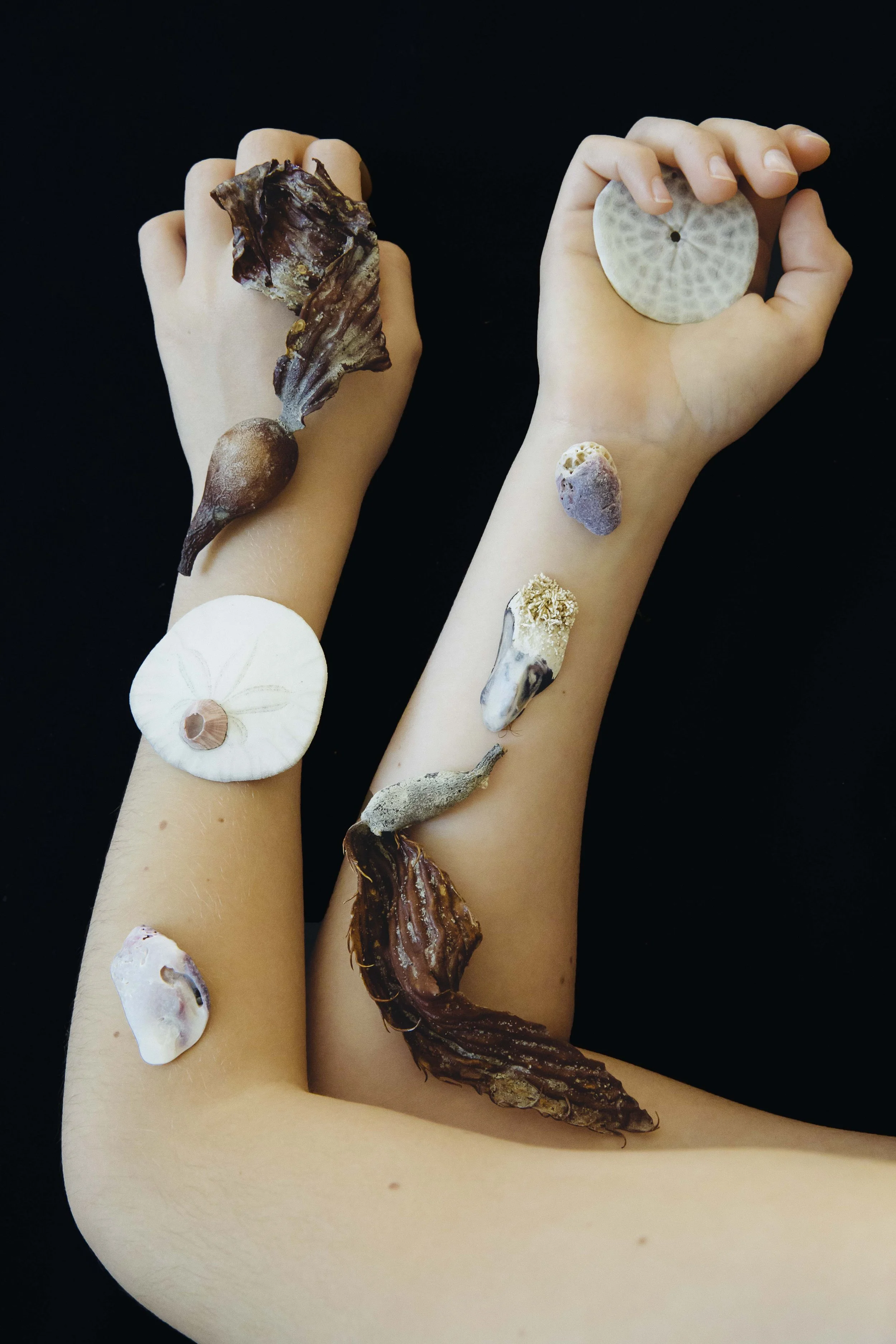 Two arms with various seashells, coral, and marine life on and around them against a black background.