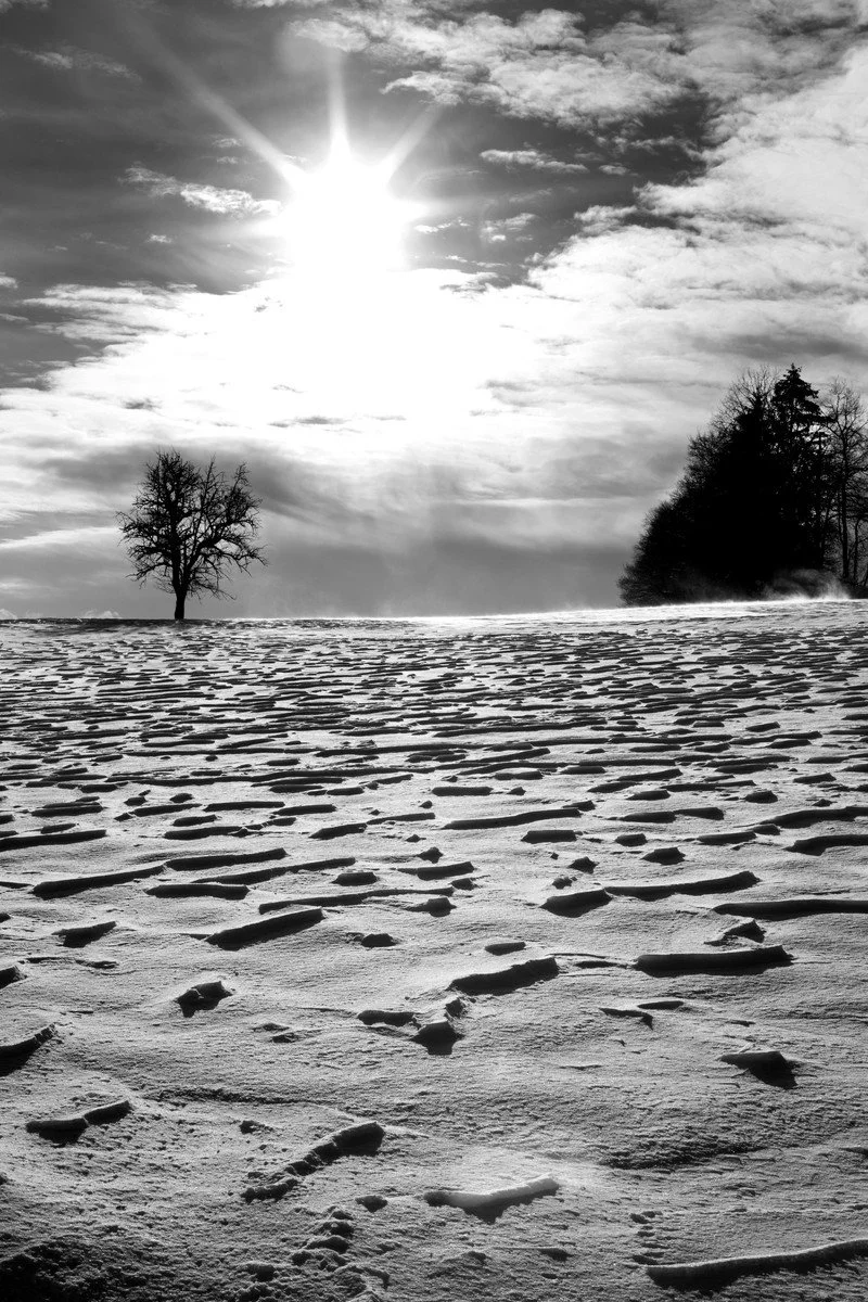 Snow-covered landscape with tracks in the snow, a bare tree in the distance, and a cloudy sky with the sun shining brightly.