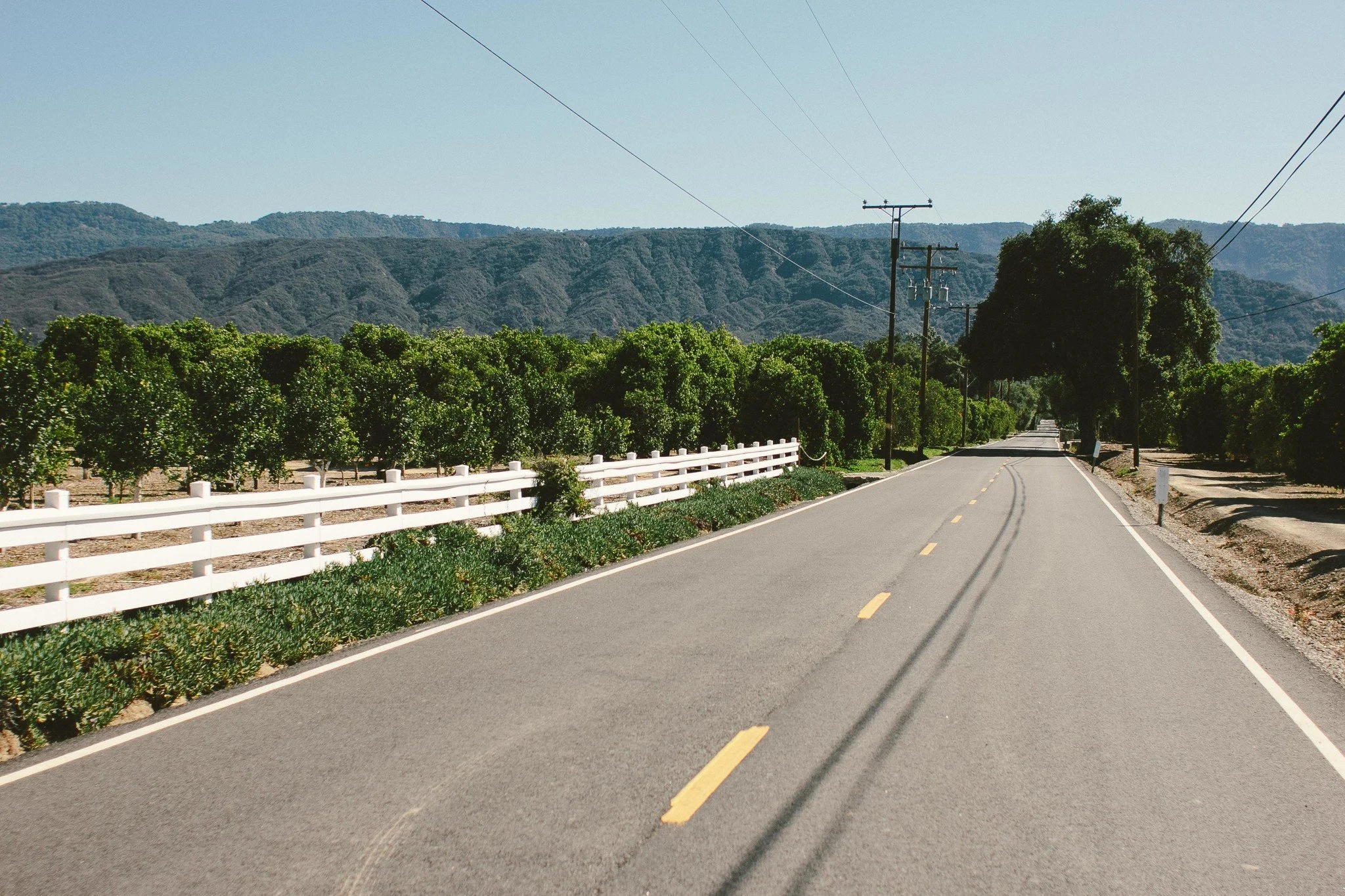 A rural road in Ojai California with a double yellow line, lined by green trees and a white fence on the left, with mountains in the background and utility poles along the right side.