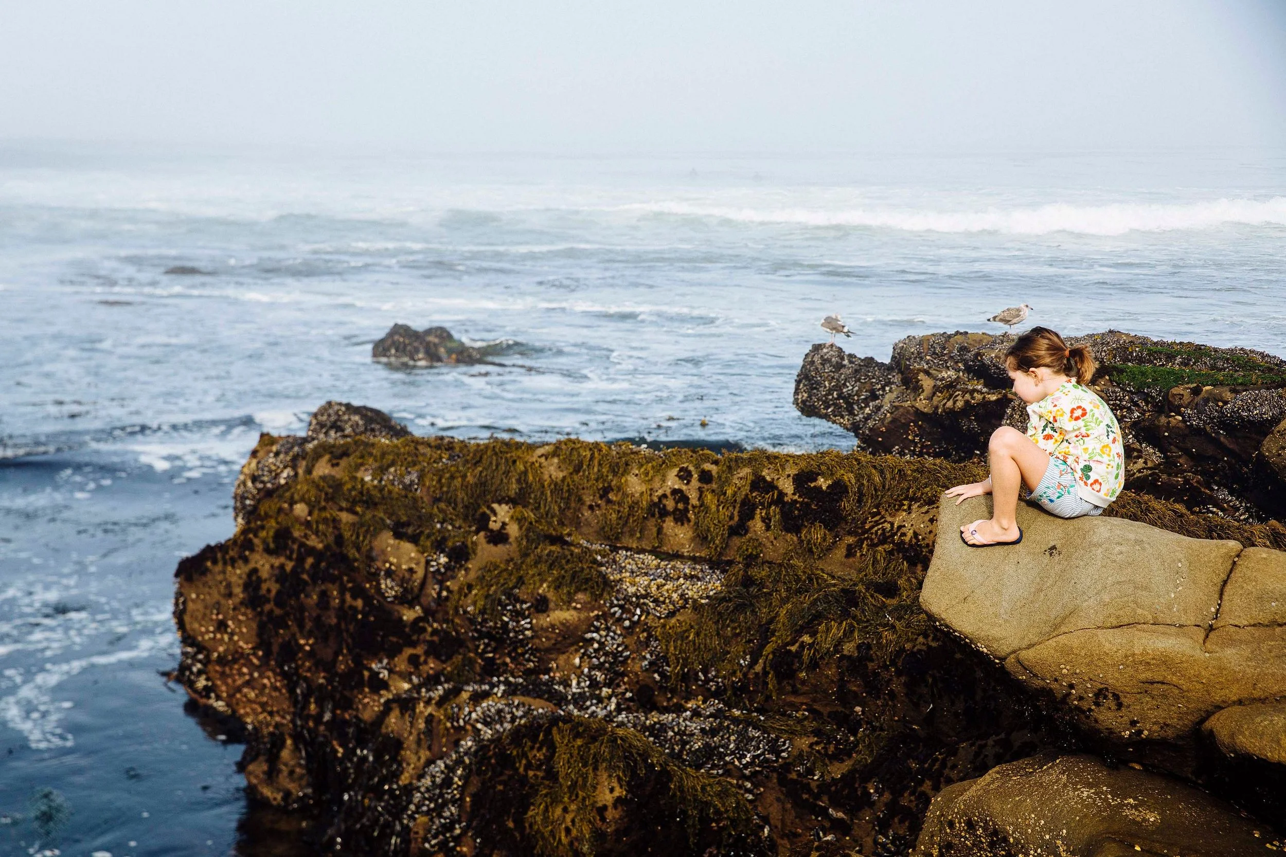 A young girl crouches on a rock by the ocean, looking down at the water, with seagulls perched nearby and misty waves in the background.