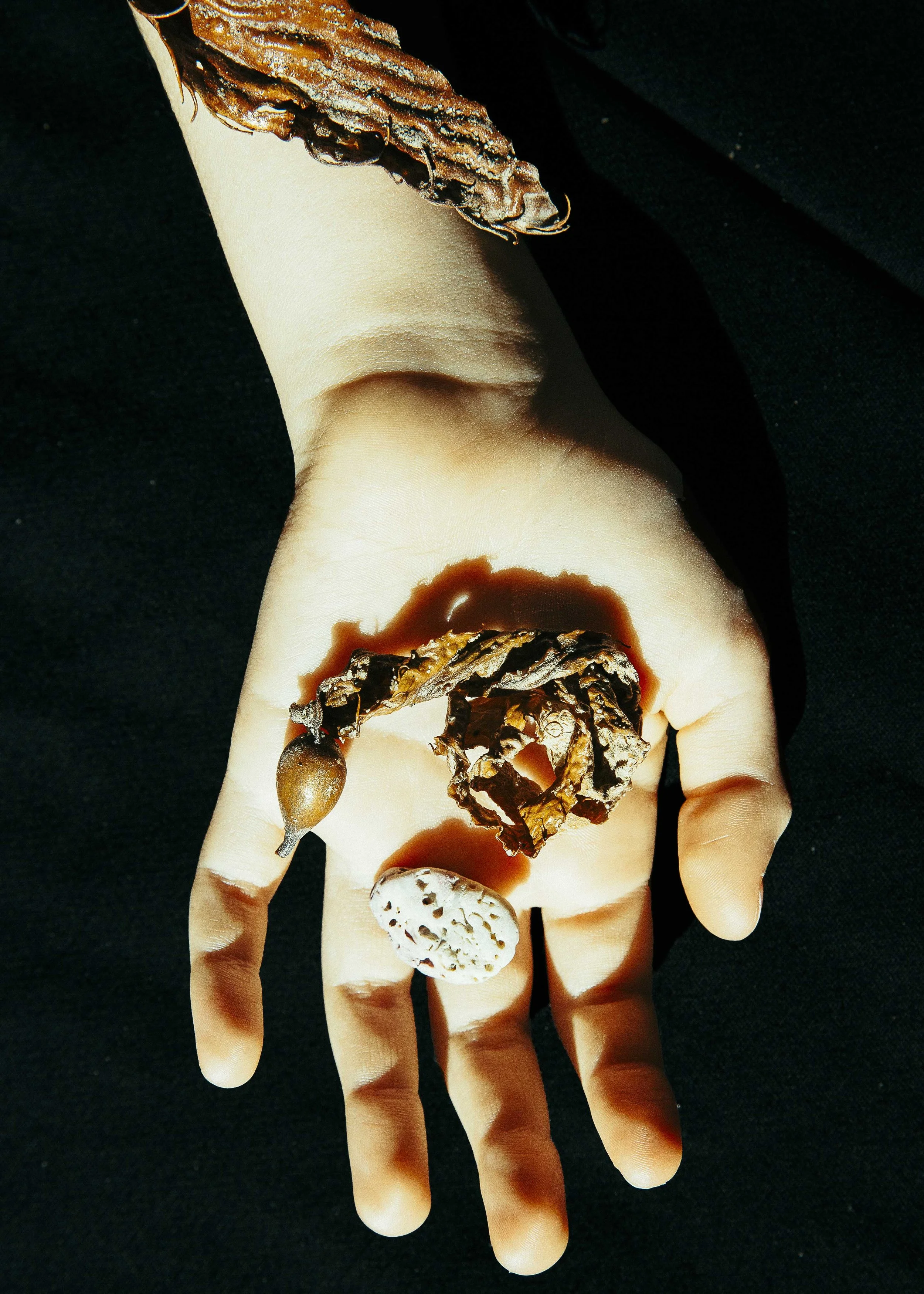 A human hand  against a black background. Placed on the hand are an assortment of seaweed and seashells.