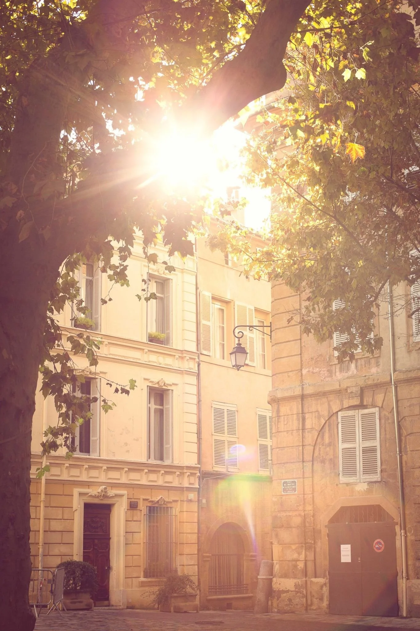 Sun shining through trees onto historic European buildings with shuttered windows and street lamps.