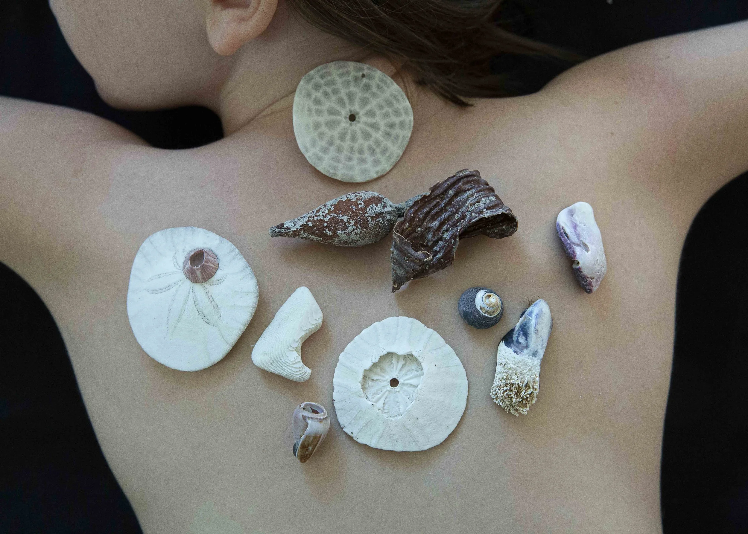 A person's back decorated with seashells of various shapes and sizes placed on their back, including conch shells, spiral shells, and flat shells, and dried seaweed creating an artistic arrangement.