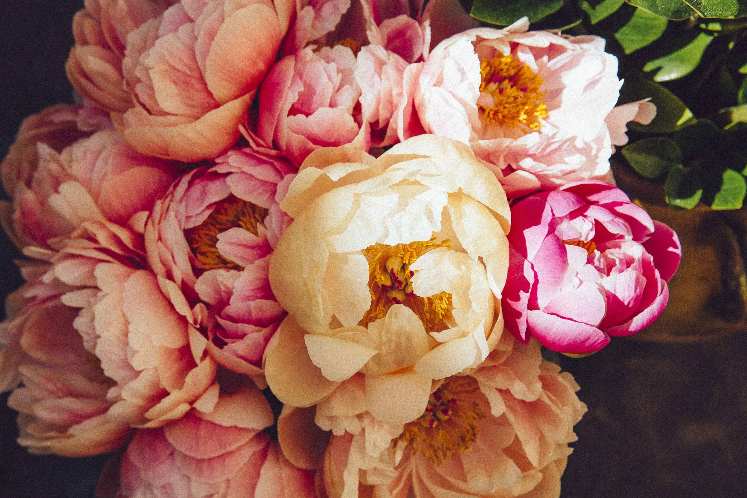 Close-up of a bouquet of pink, peach, and cream peony flowers with green foliage in the background.