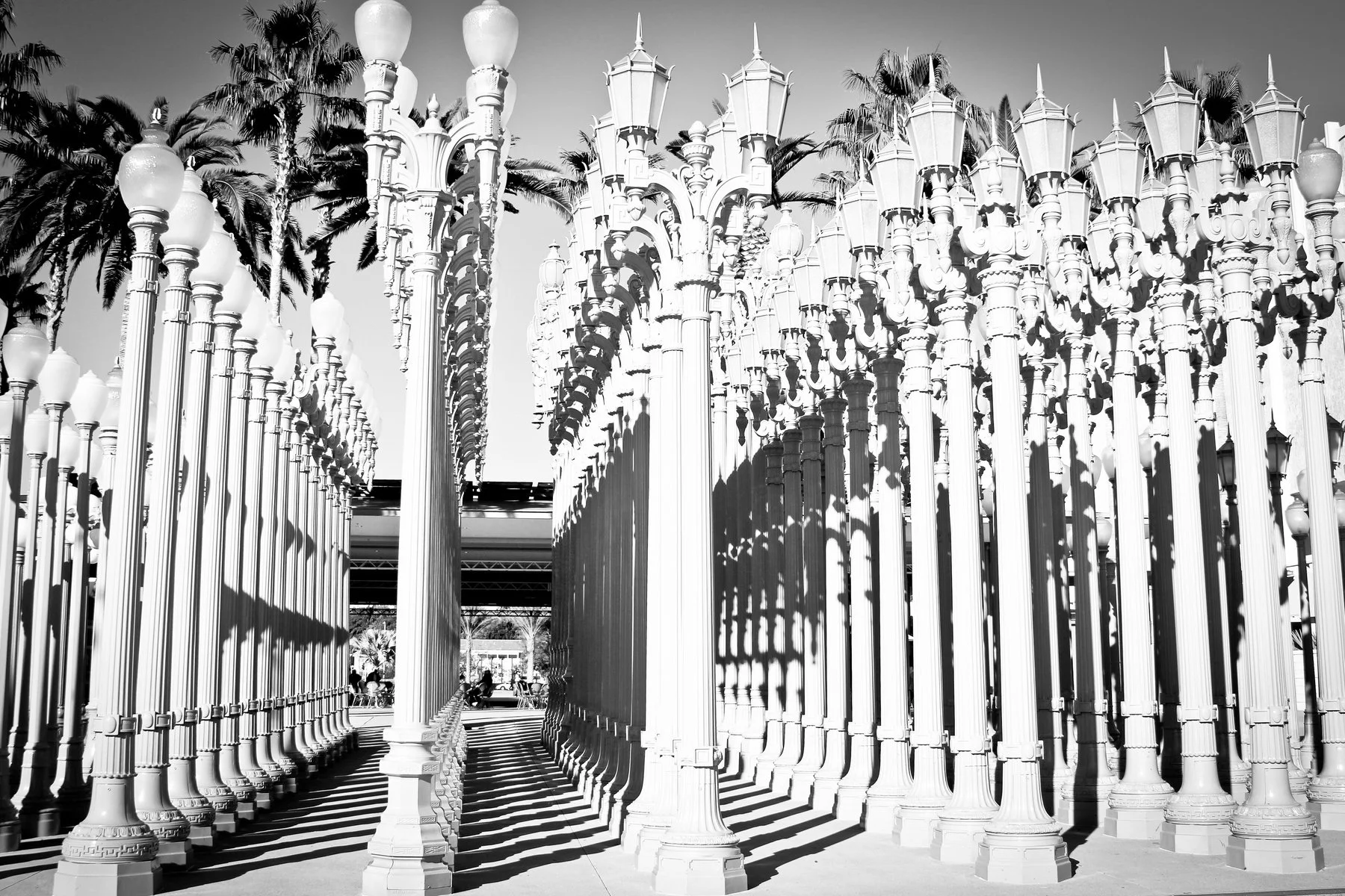 Black and white photo of a large outdoor art installation with tall, ornate lampposts arranged in rows, casting striped shadows on the ground, with palm trees in the background.