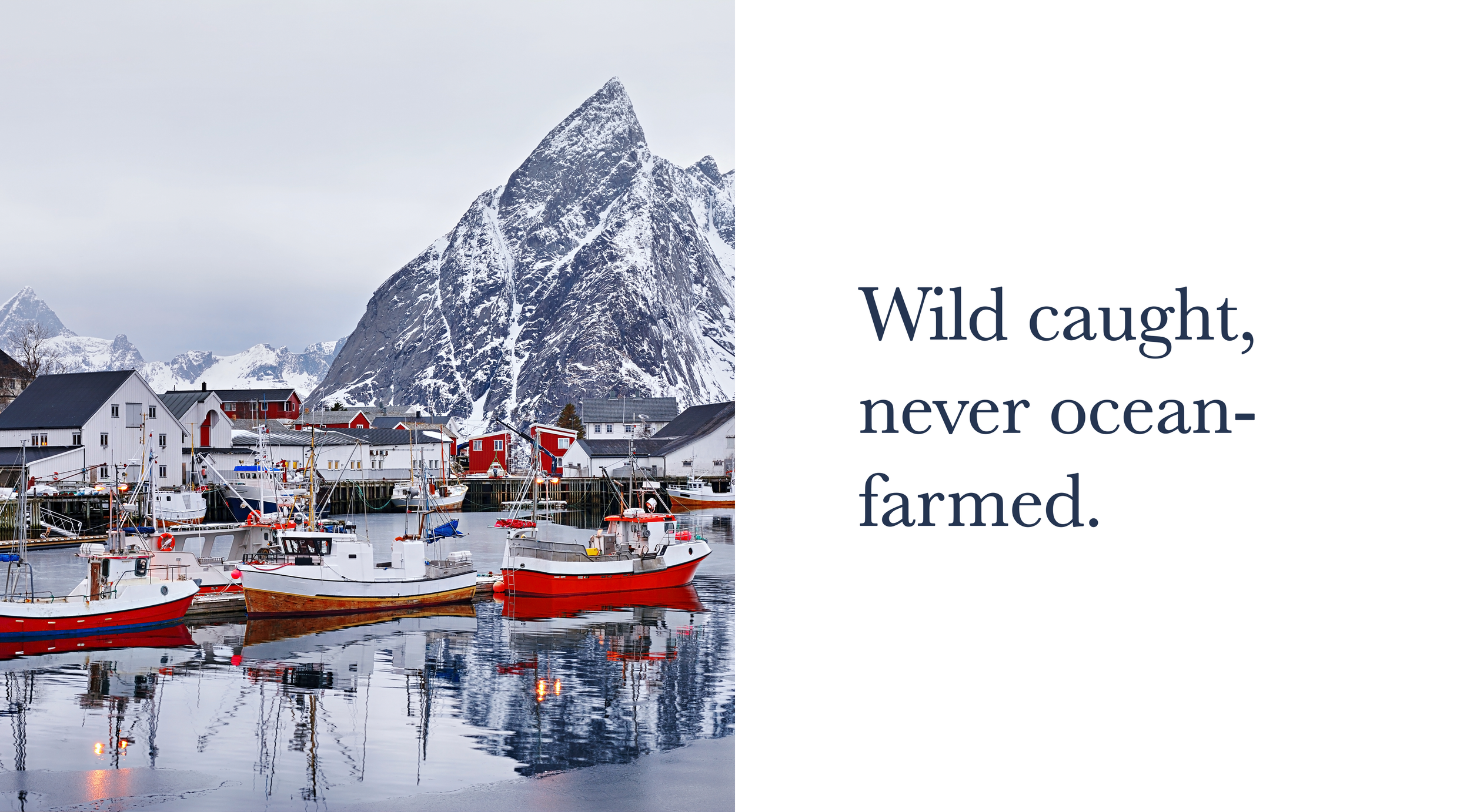 slider template never farmed.png