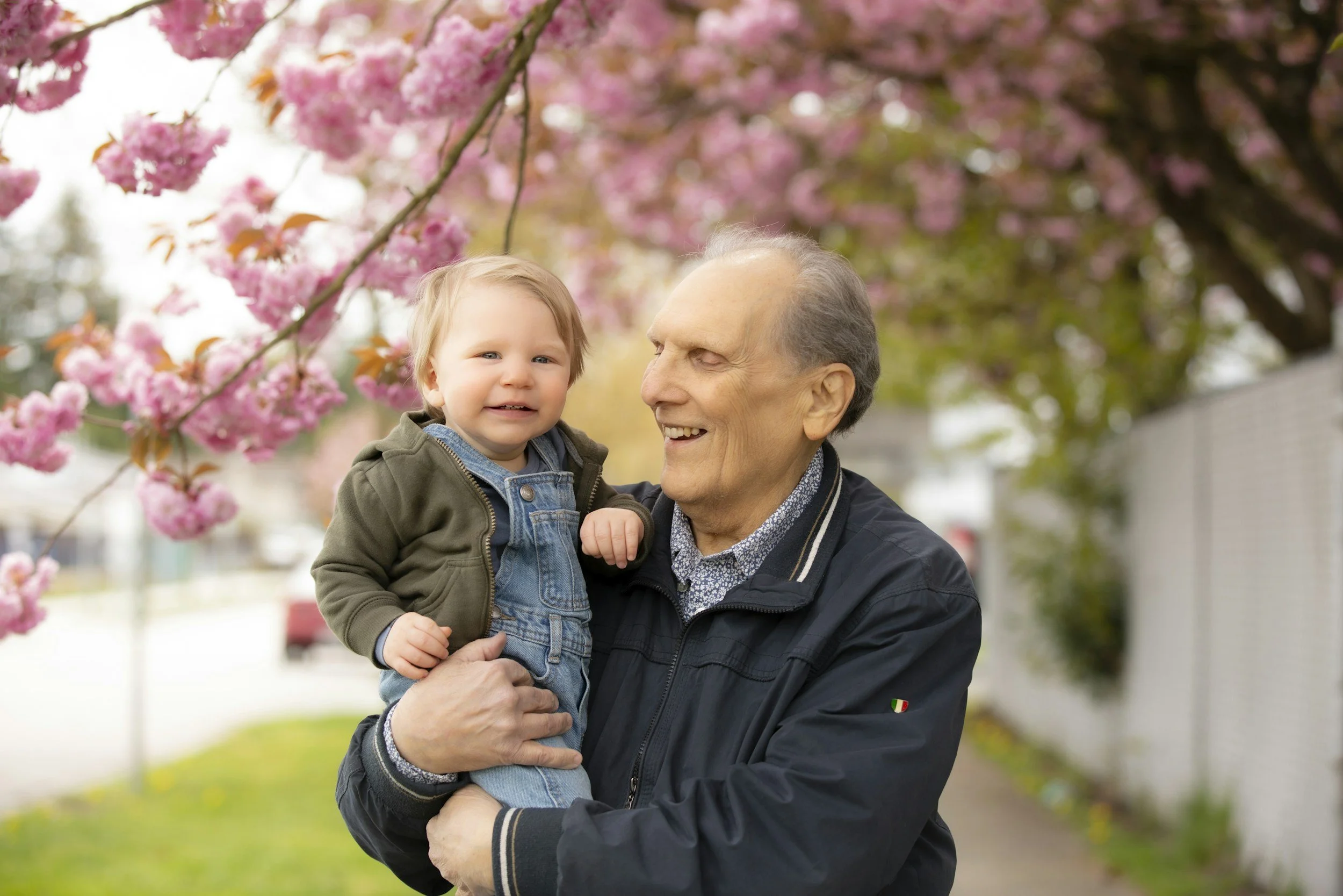 An elderly man smiling and holding a young child in front of blooming pink cherry blossom trees.