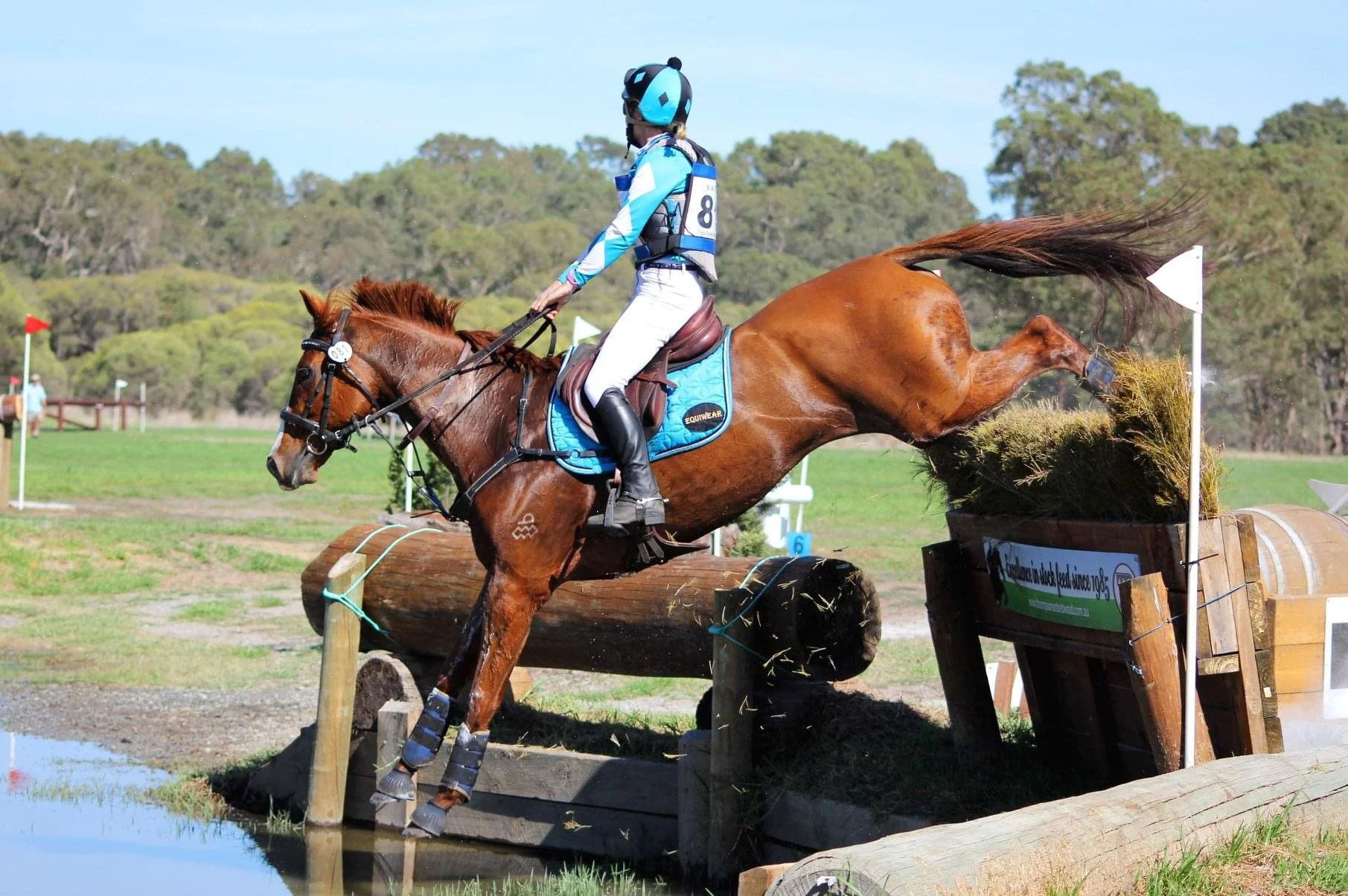 A rider wearing a blue and white uniform and helmet riding a chestnut horse jumping over an obstacle during an equestrian event in an outdoor field with trees in the background.