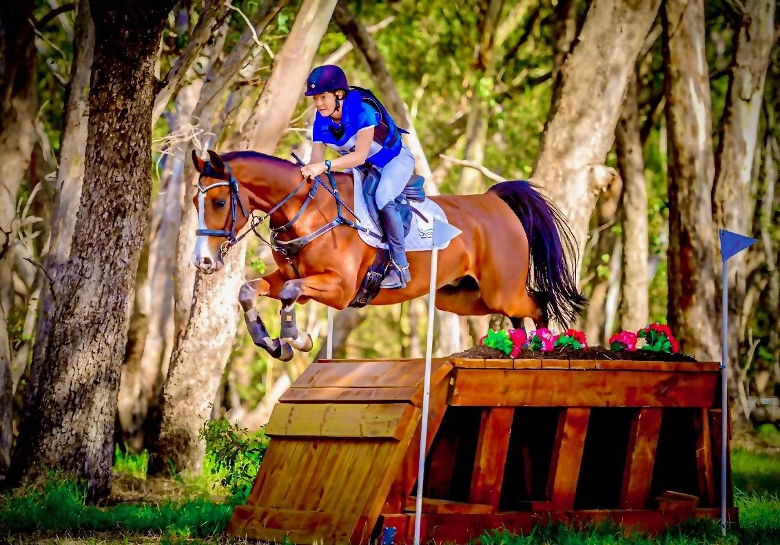 A person riding a brown horse jumping over an obstacle in a wooded outdoor setting.
