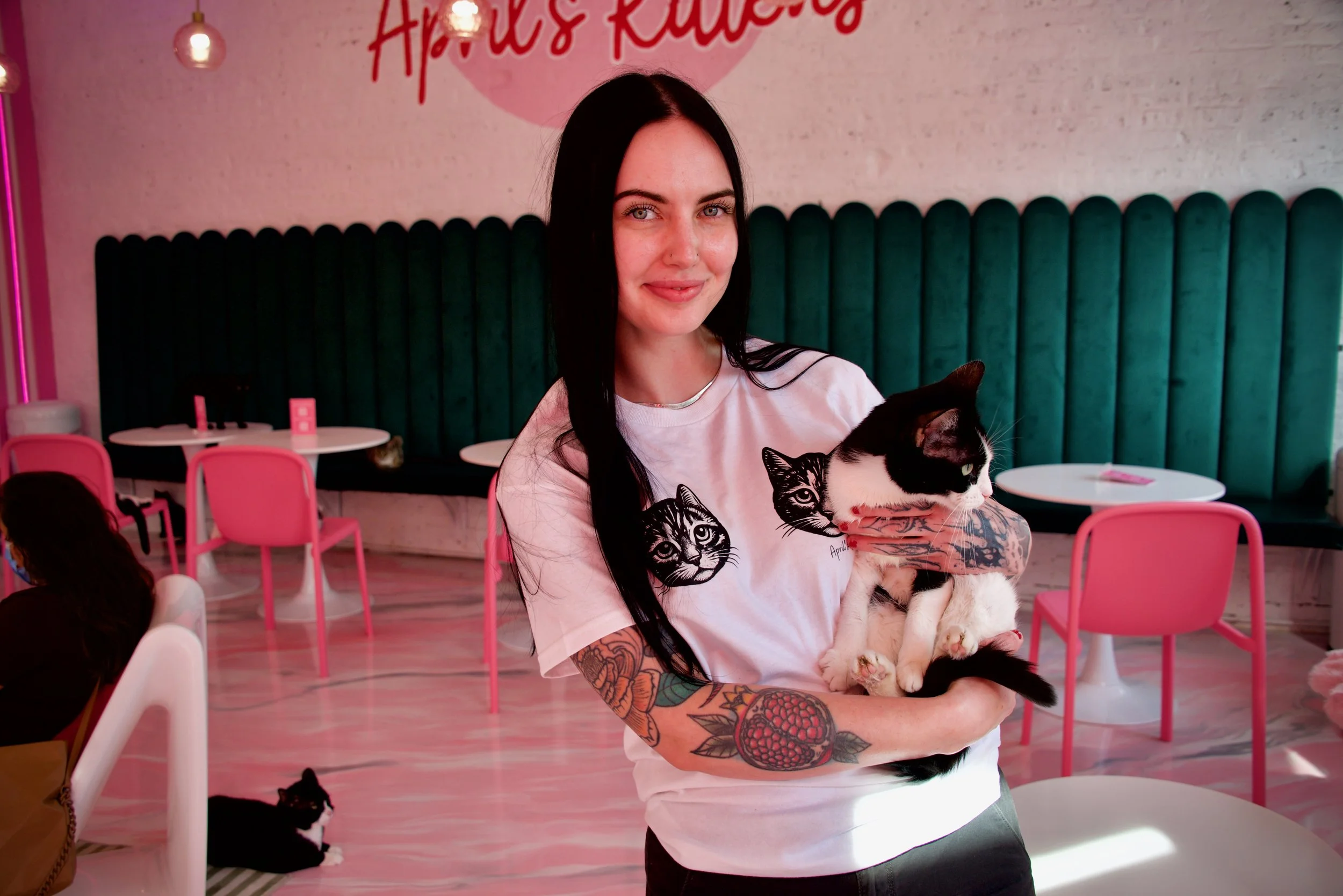 AprilsKittens0826 - 17.jpg