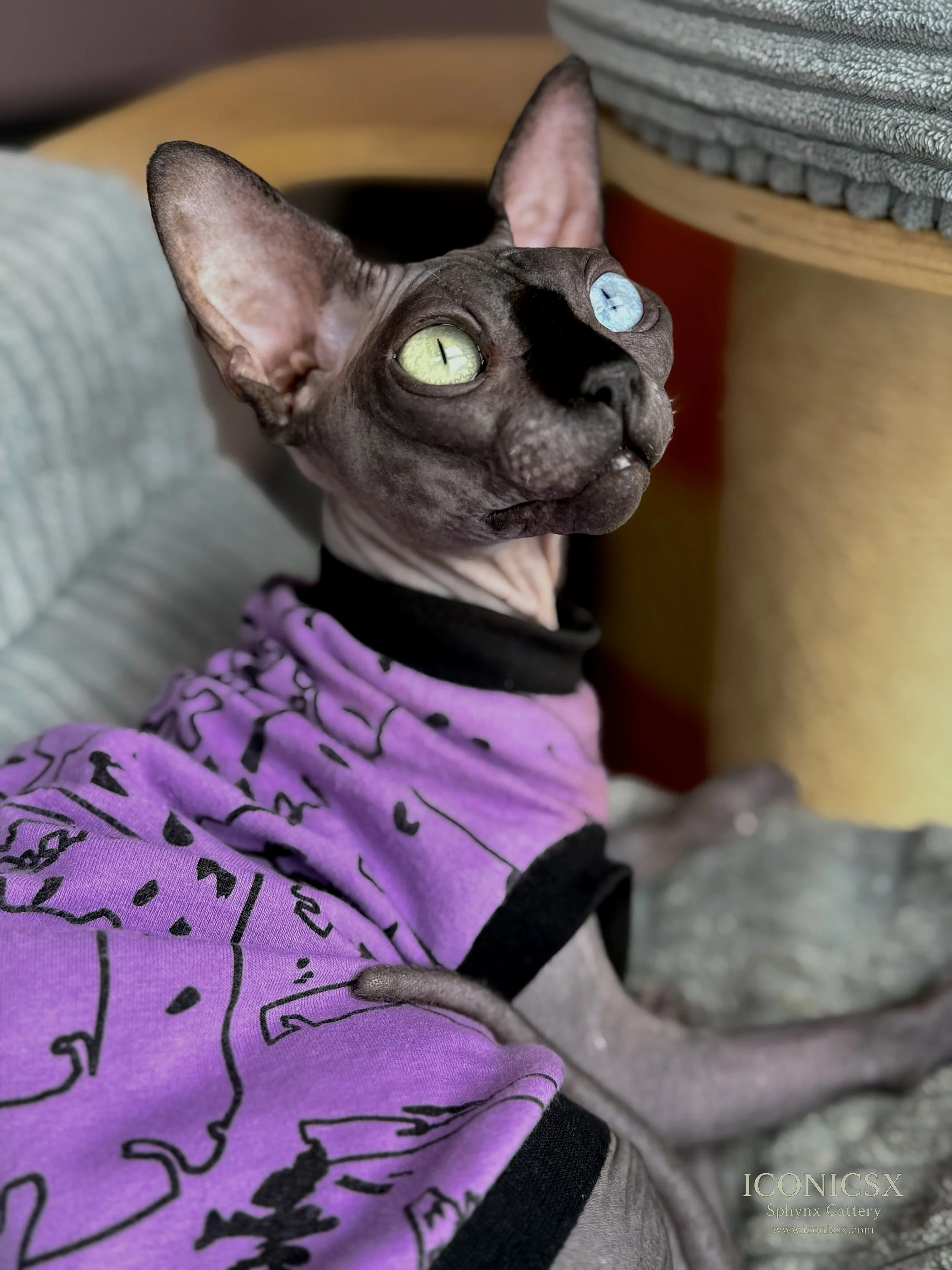 "I don't mix mutations." -Really?