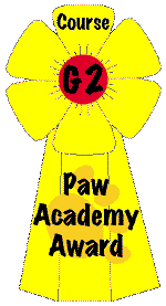 Yellow flower-shaped award ribbon with a red center and black text reading 'Course G2 Paw Academy Award'.