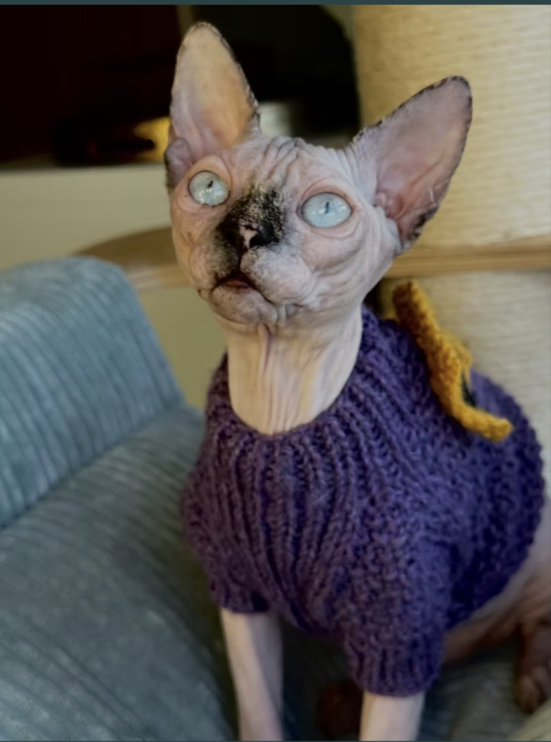 GENES DON’T LIE : Dominant or Recessive Genes? It Makes All the Difference.