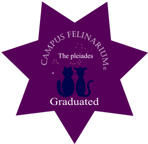 Purple star-shaped badge with two cats and text that reads 'Campus Felinarium, The pleiades Graduated'.