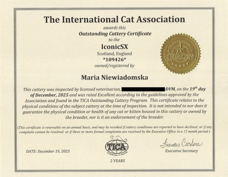 Certificate from The International Cat Association awarded to IconicSX in Scotland, England, for outstanding cattery. Dated December 19, 2025, signed by Frances Cardona, Executive Secretary, with a gold seal featuring a star and the words 'Outstanding Quality'.