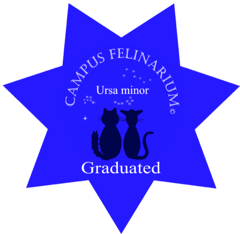Blue badge with a star shape featuring two black cats and text that reads "CAMPUS FELINARIUM Ursa minor Graduated."